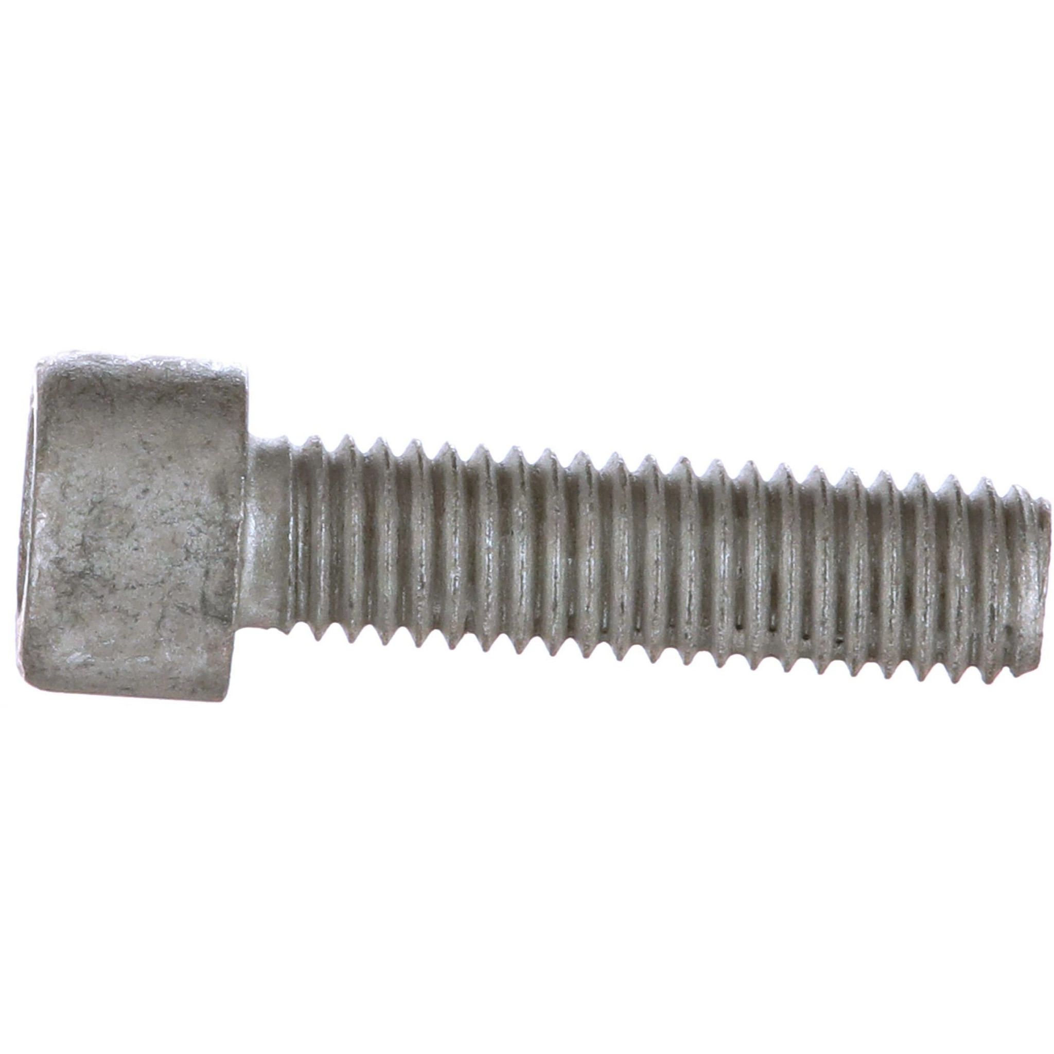 BOLT | CASECE | AMEA | EN