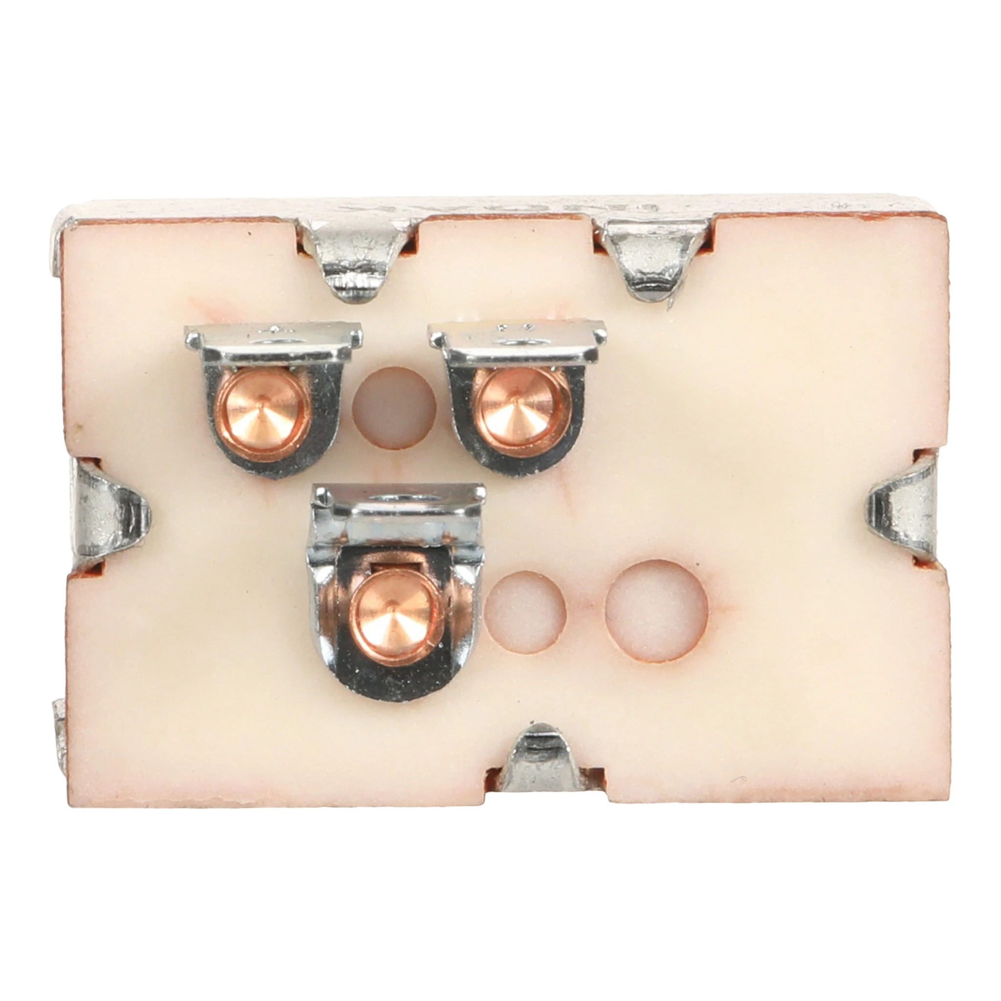 SWITCH | CASECE | NZ | EN