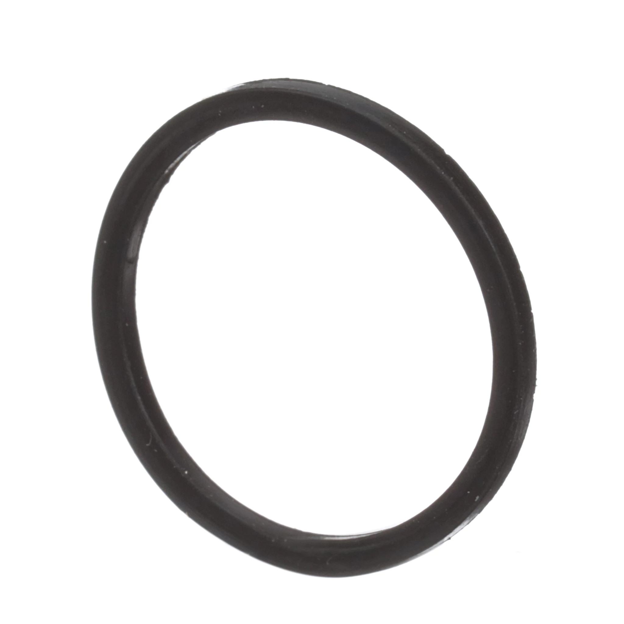 Backup Ring | CASECE | BR | PT