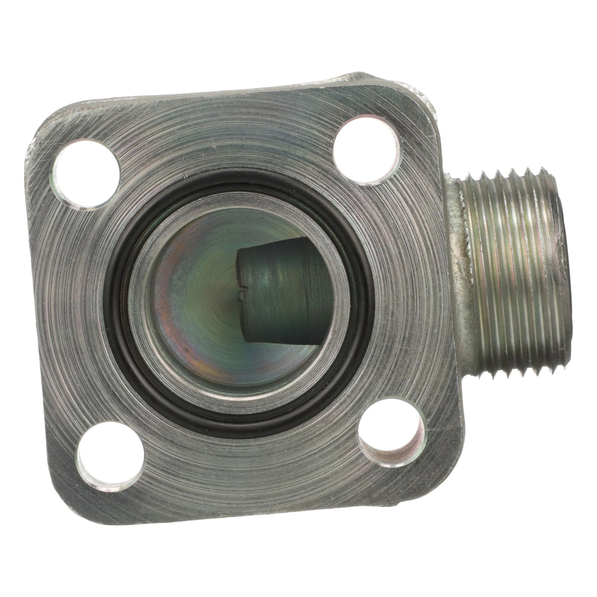 BRIDA | NEWHOLLANDAG | ES | ES