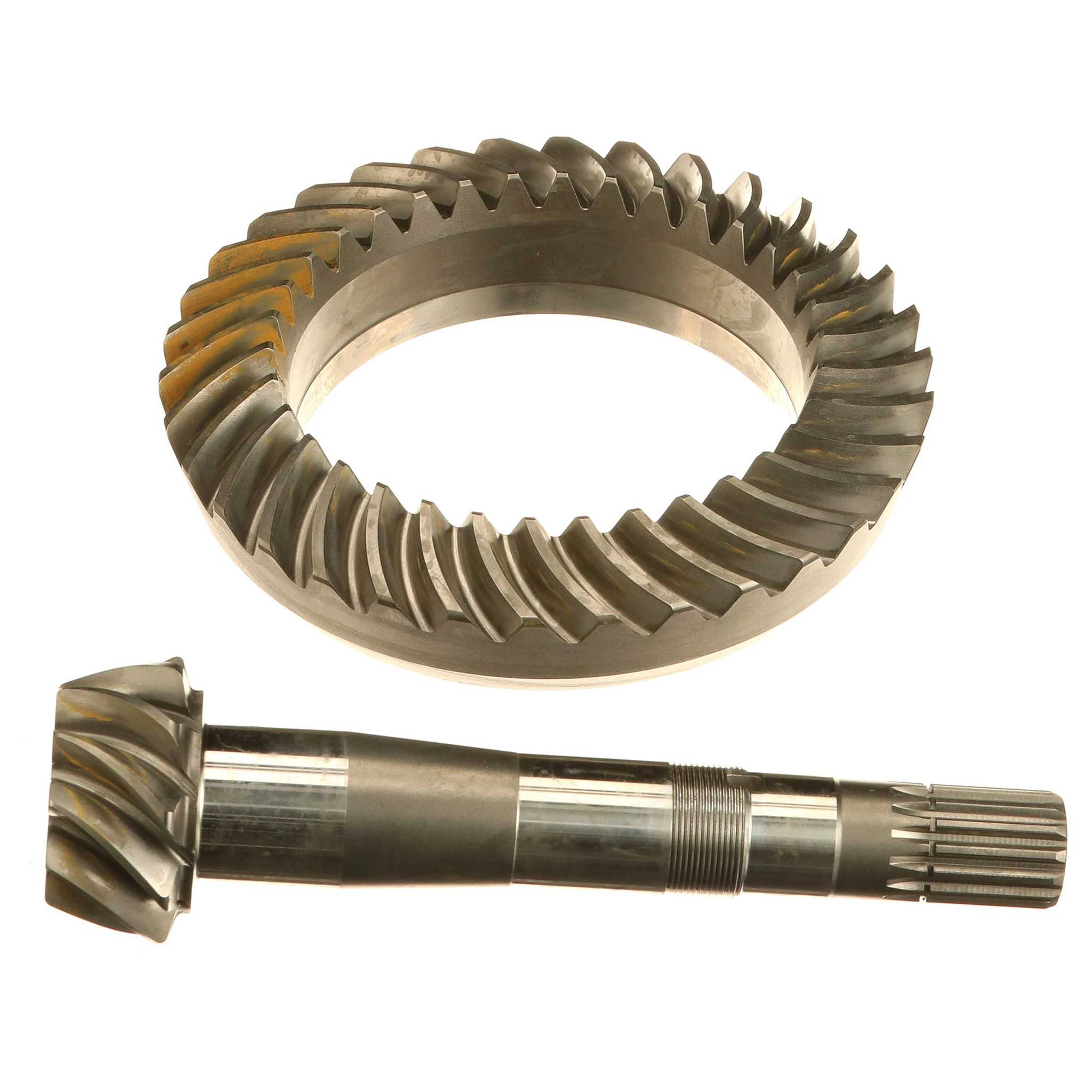 PIGNON CONIQUE | NEWHOLLANDAG | CA | FR