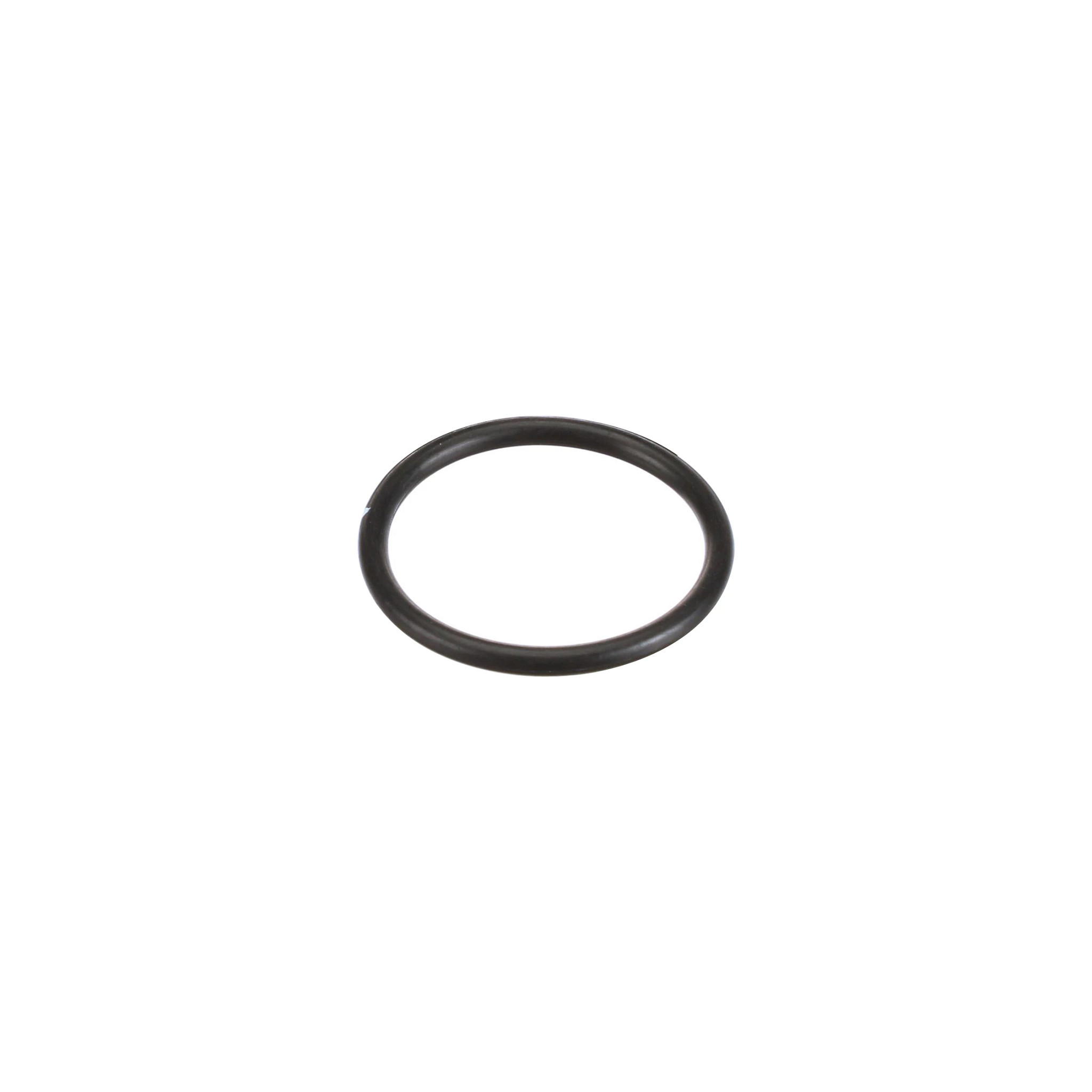 JOINT TORIQUE | CASEIH | EU | IT