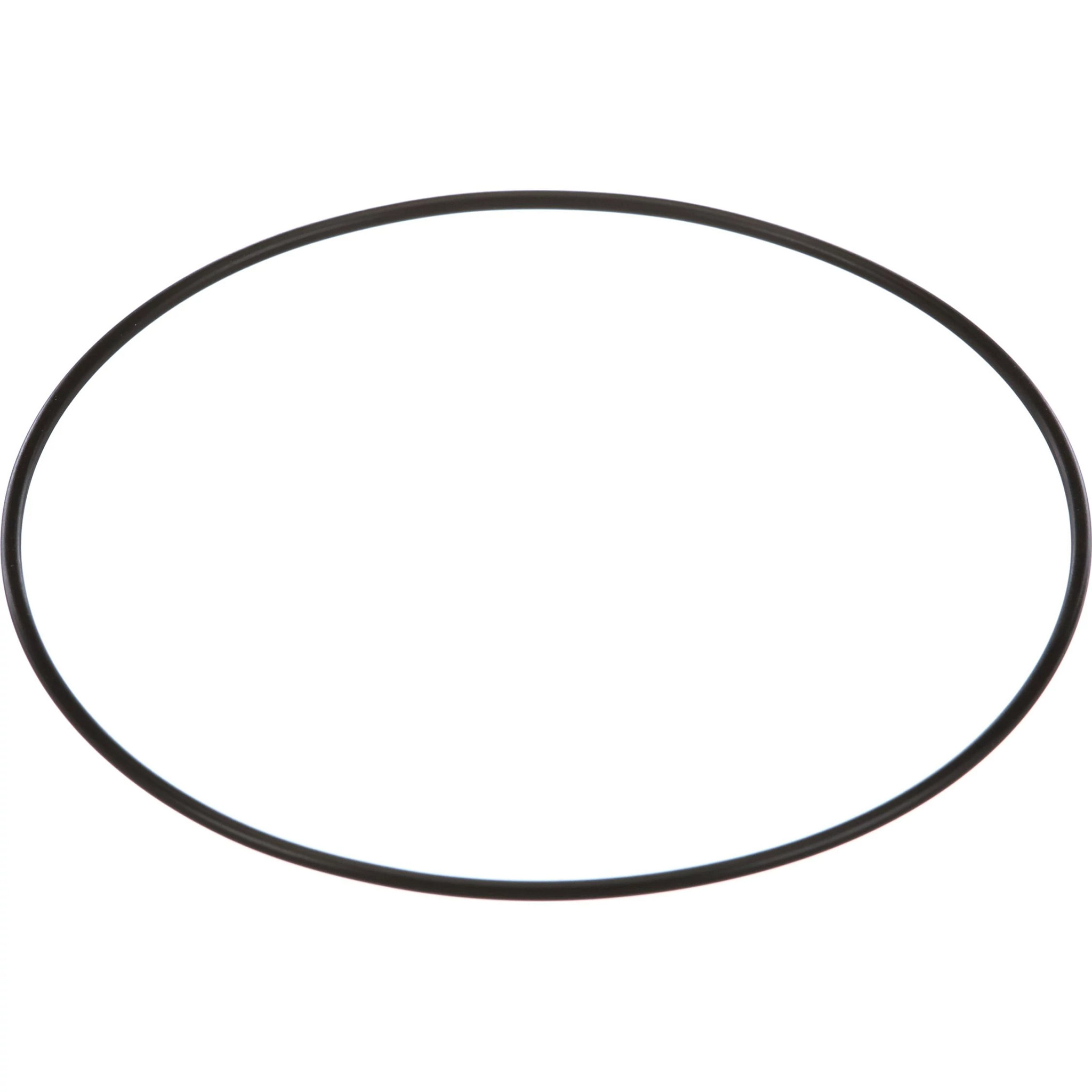 JOINT TORIQUE | CASEIH | CA | EN