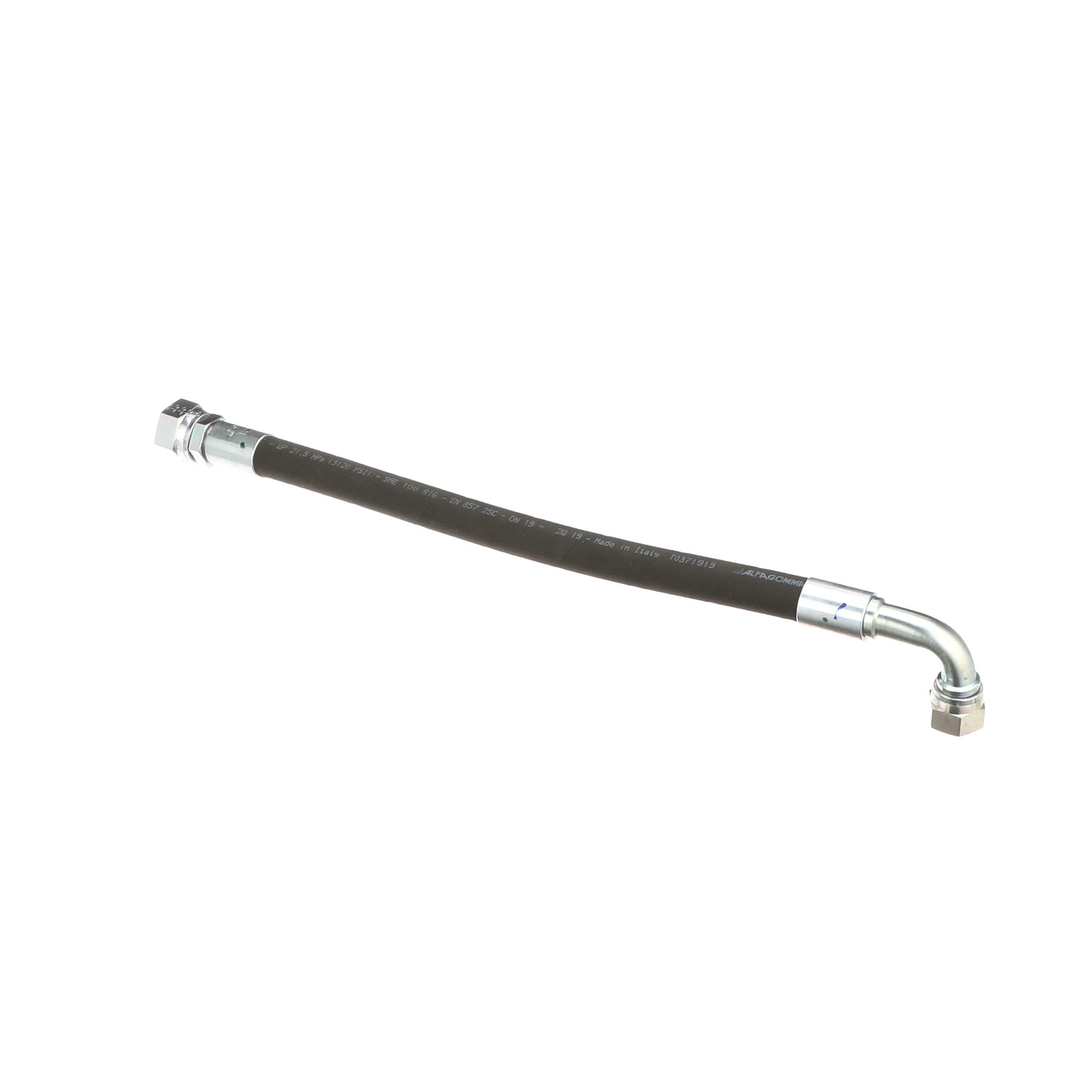 MANGUEIRA | CASECE | BR | PT