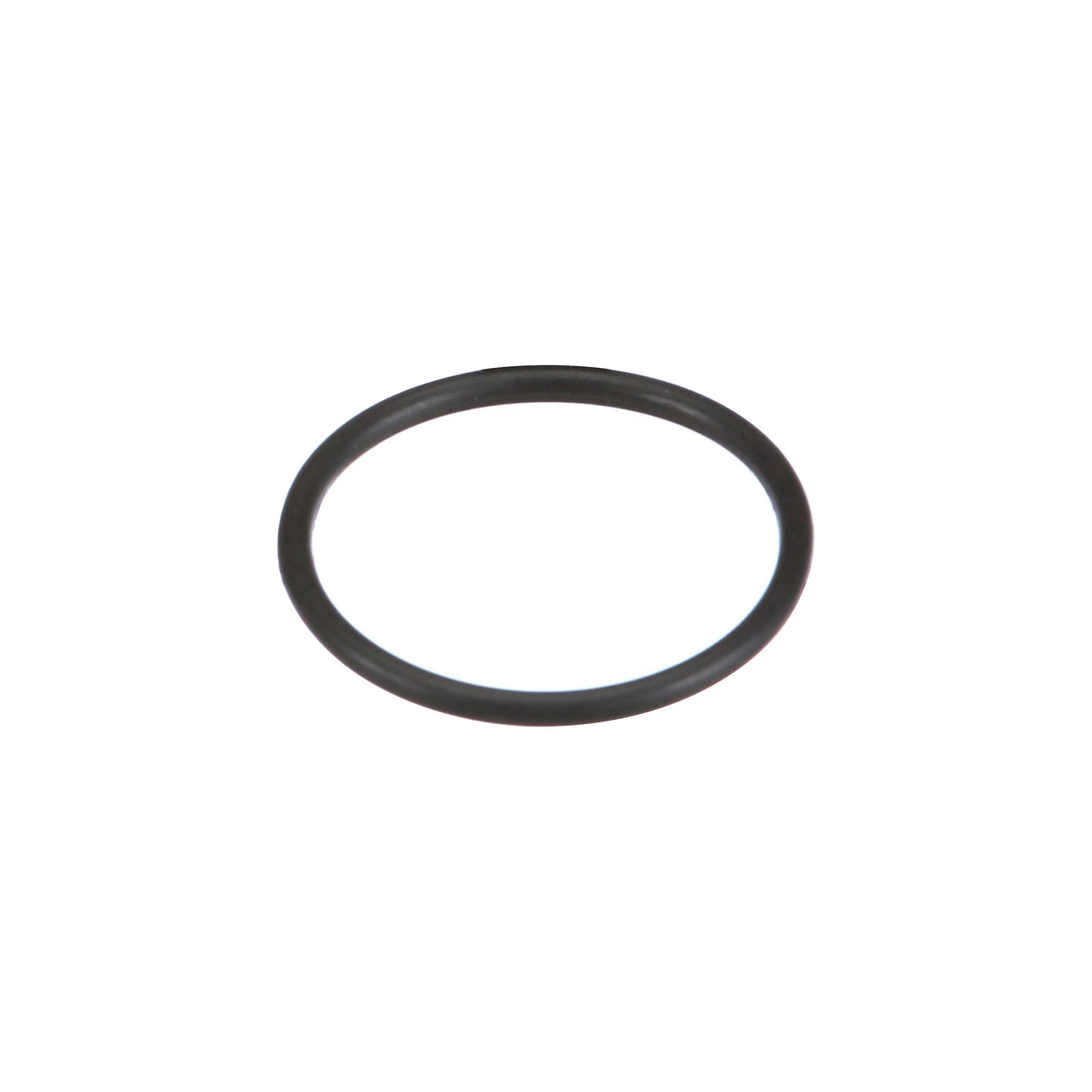 ANELLO TOROIDALE | CASEIH | IT | IT