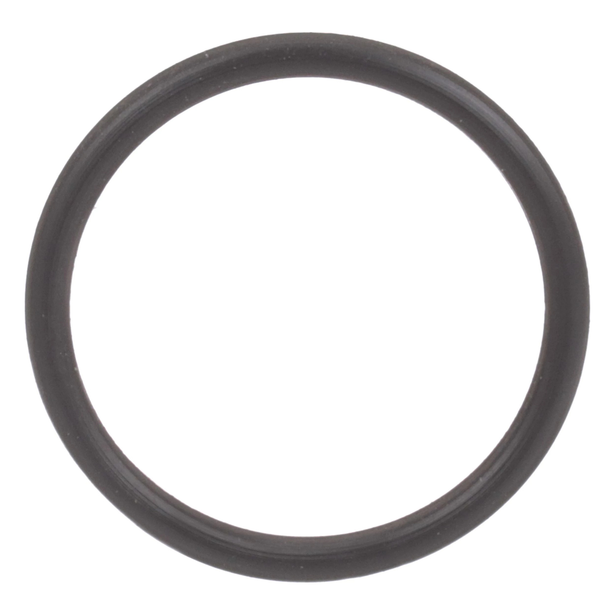 O-RING | CASEIH | AMEA | EN