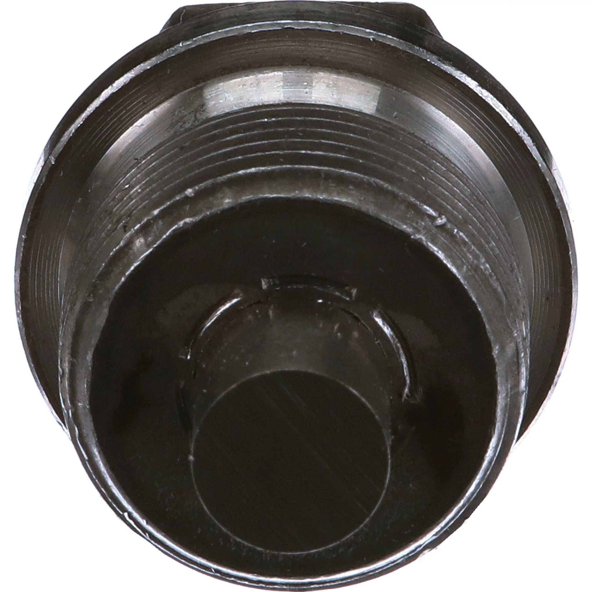 PLUG | CASEIH | NZ | EN