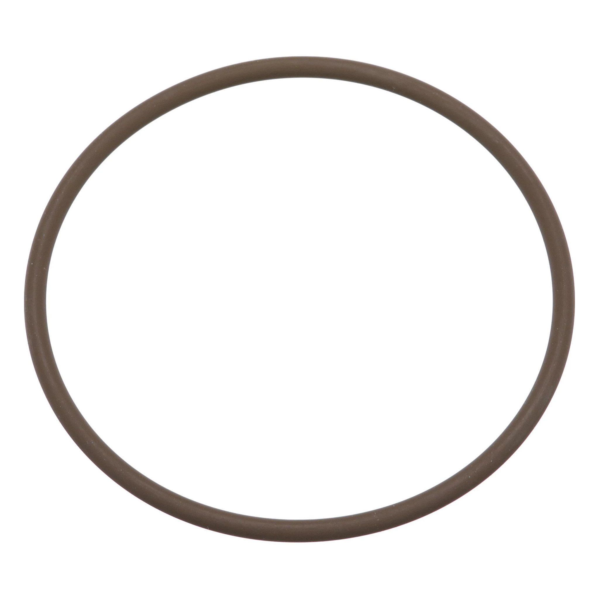 O-Ring | CASECE | US | EN