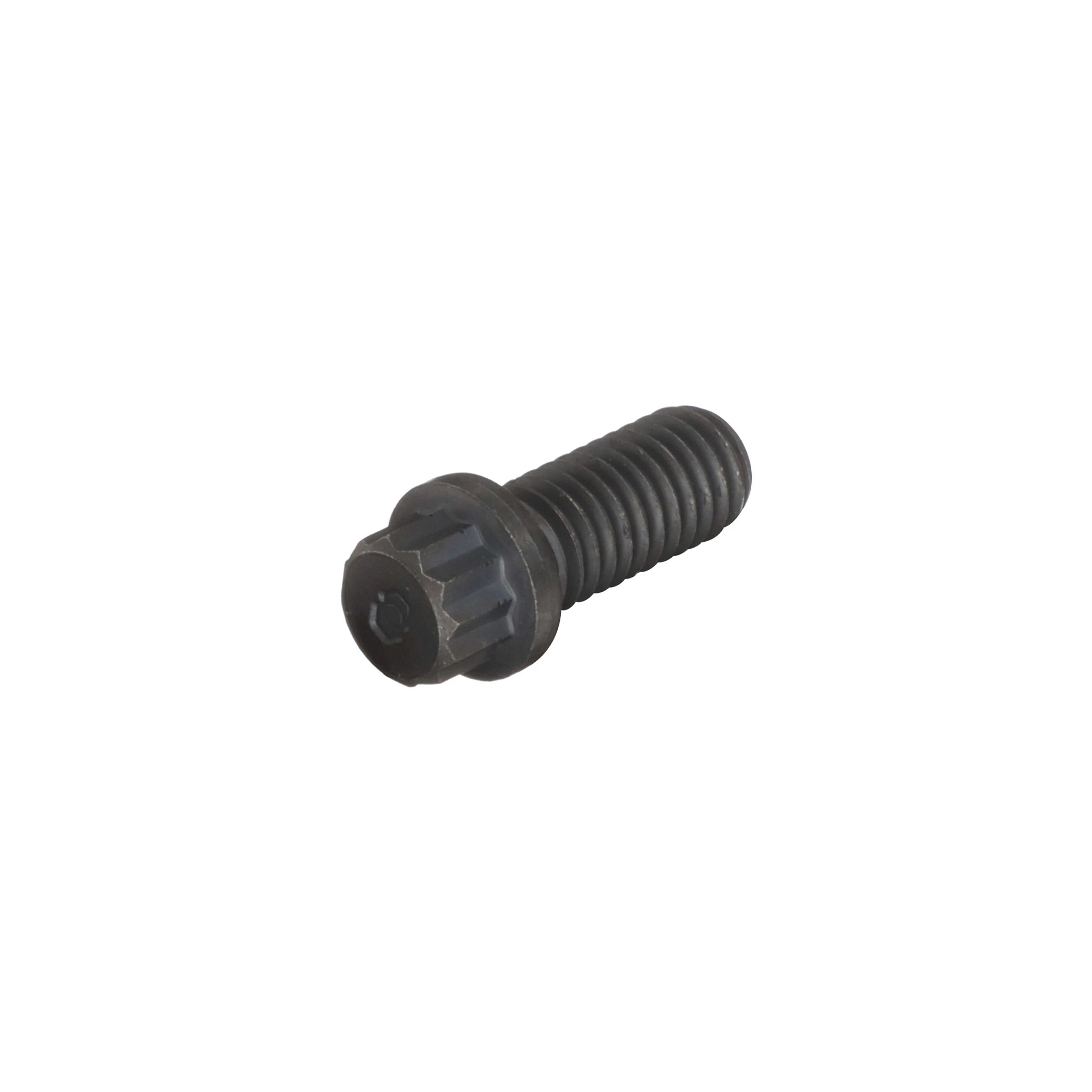 Parafuso 12Pt | CASECE | BR | PT