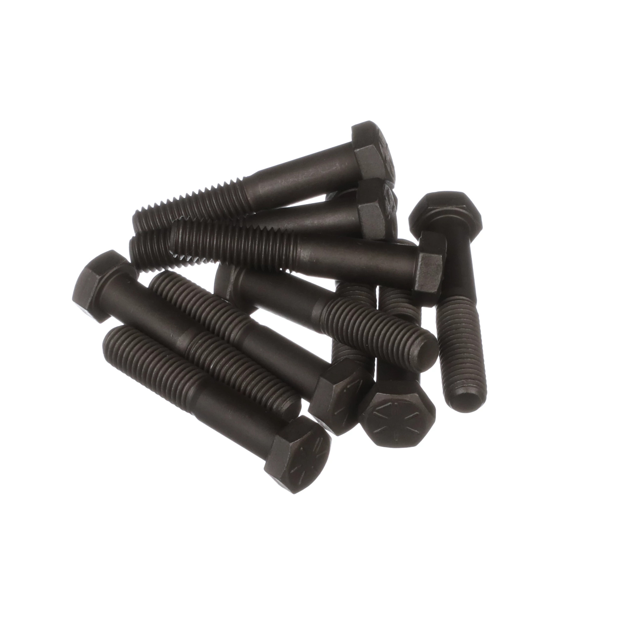 Bolt | CASECE | BR | PT
