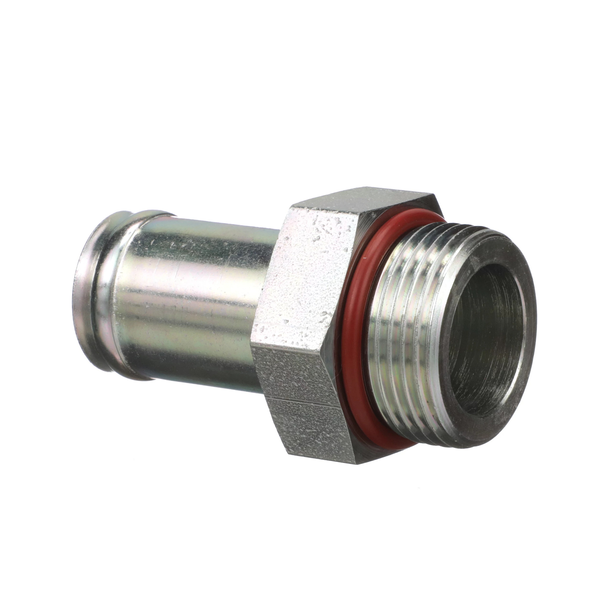 CONEXÃO | CASECE | BR | PT