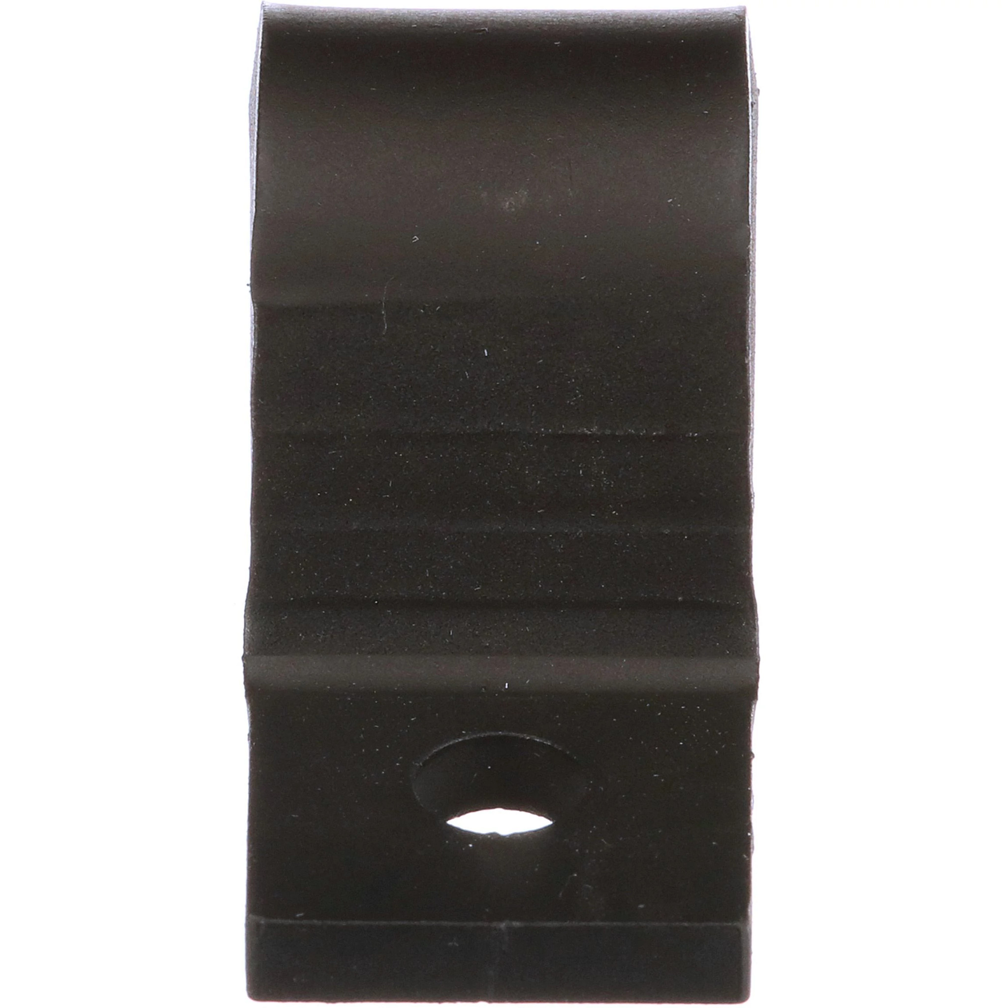 CLAMP | CASECE | NZ | EN