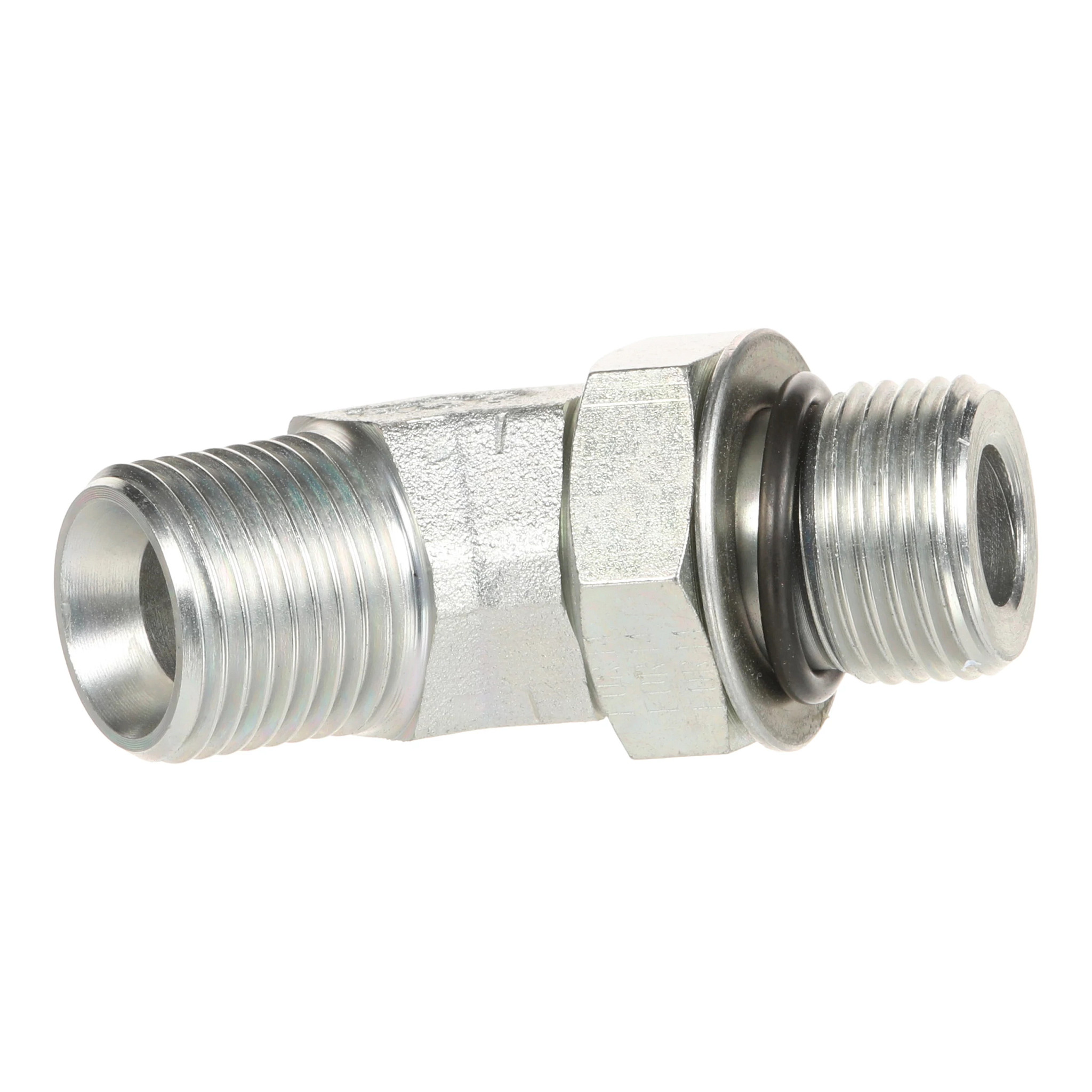 GOMITO | CASECE | EU | IT