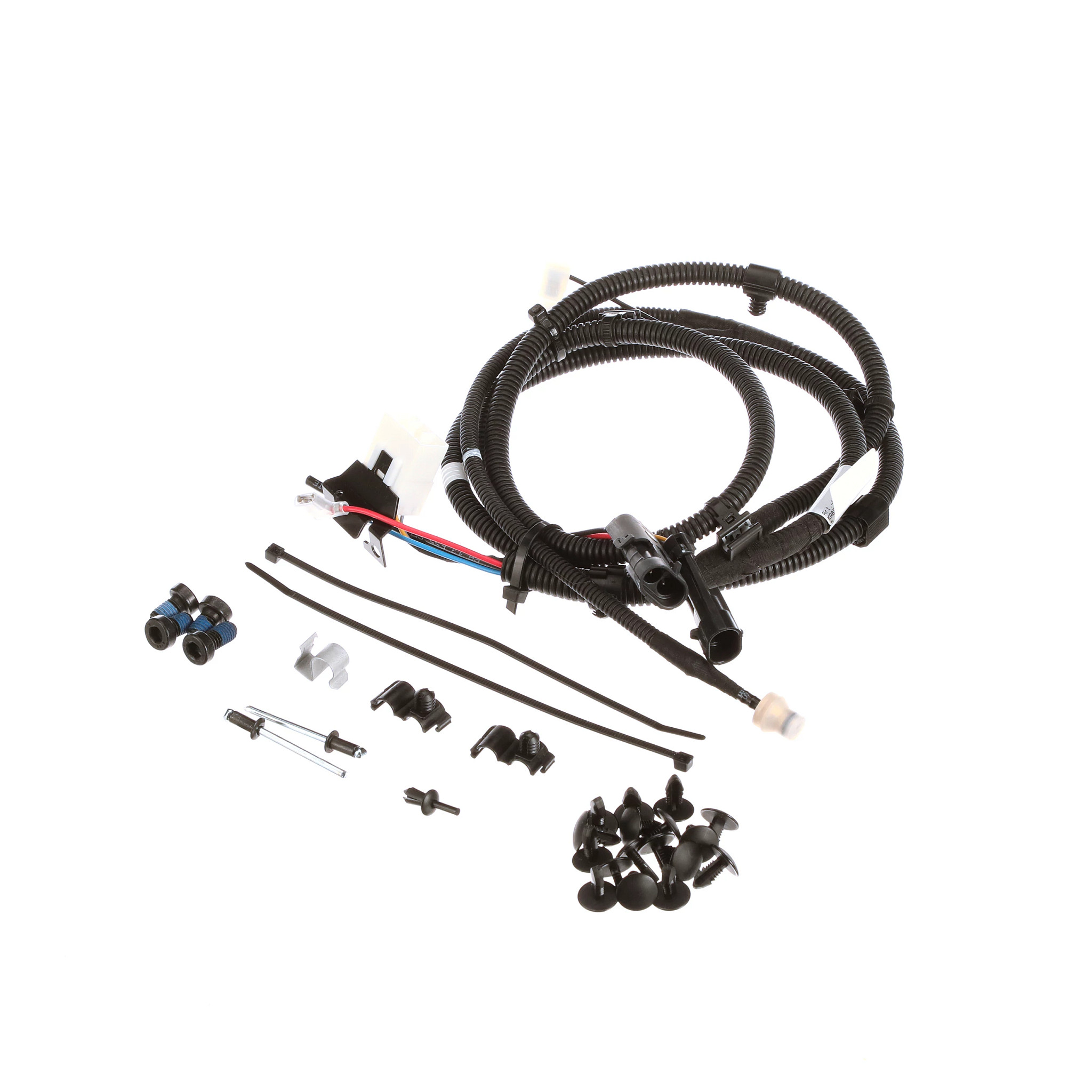 Chicote | CASECE | BR | PT