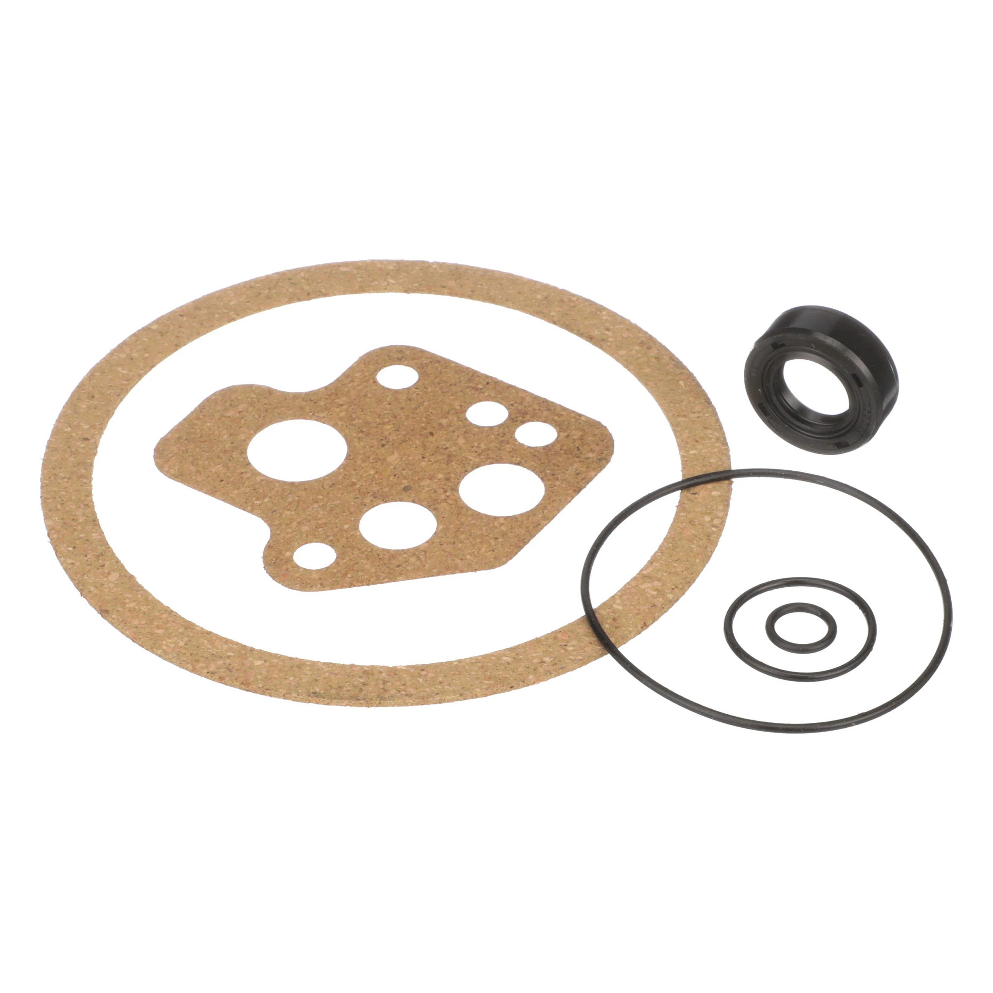 Van Pump Seal Kit | NEWHOLLANDAG | US | EN