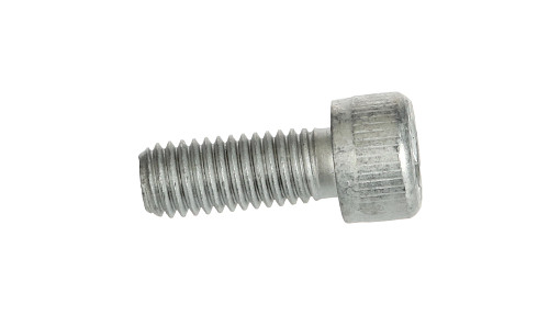 SCREW | CASECE | EU | EN