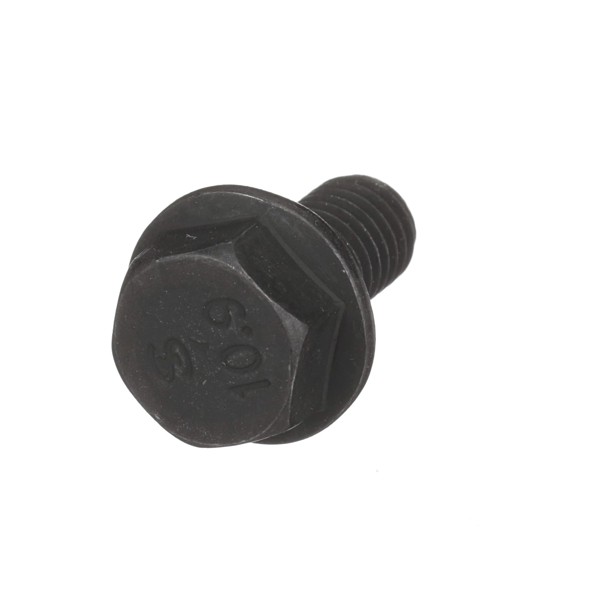 Screw | CASECE | BR | PT