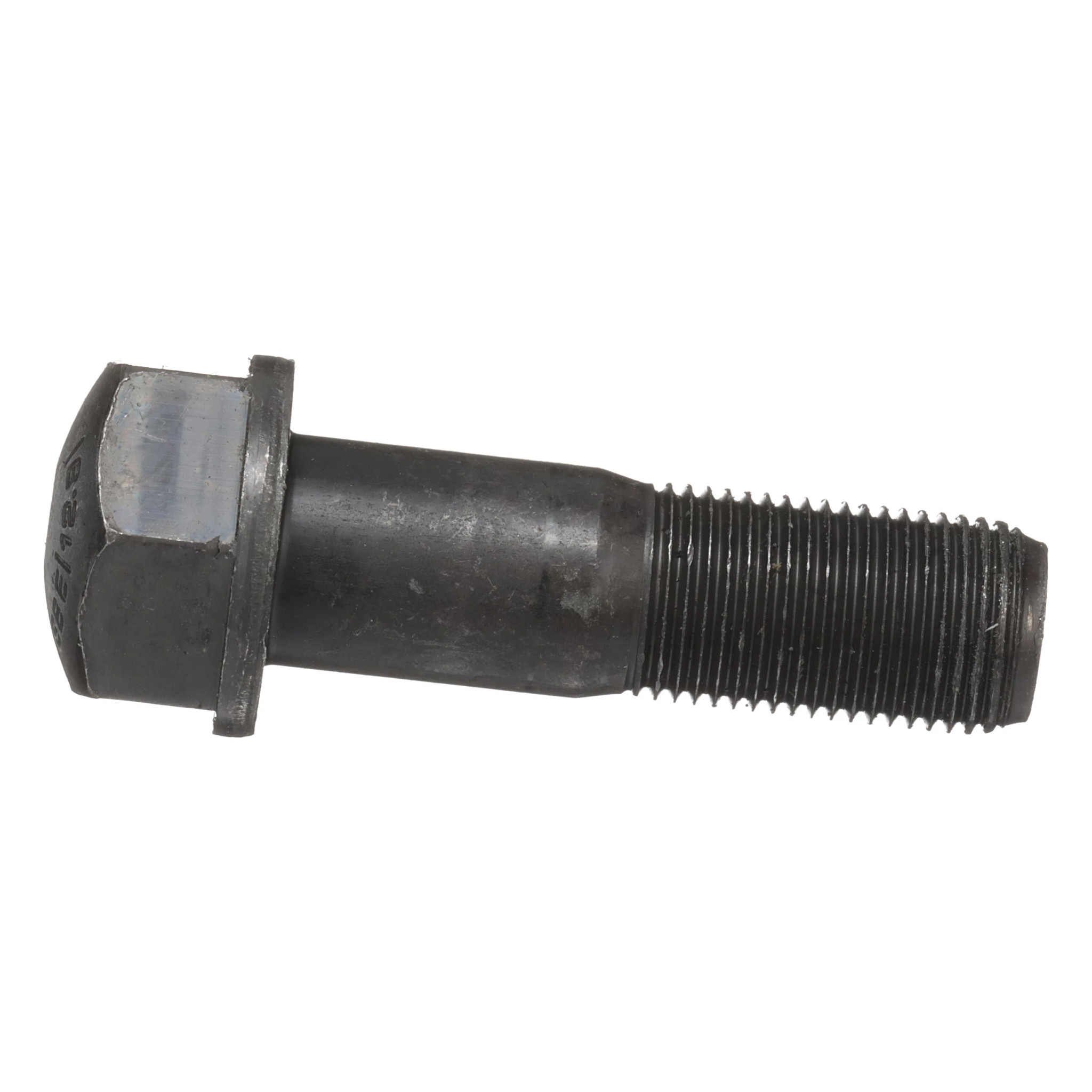 BOLT | MILLER | AMEA | EN