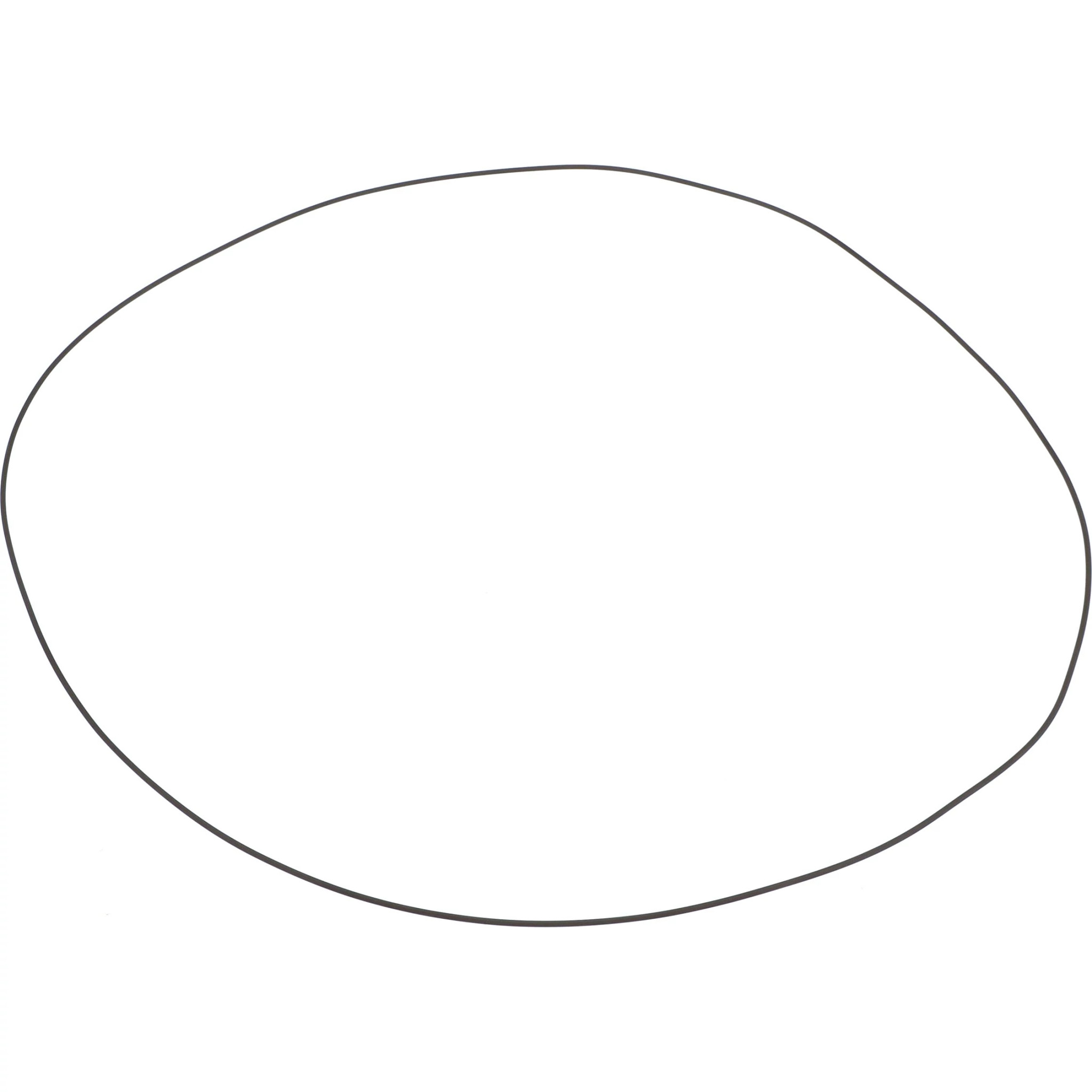 O-RING | NEWHOLLANDCE | US | EN