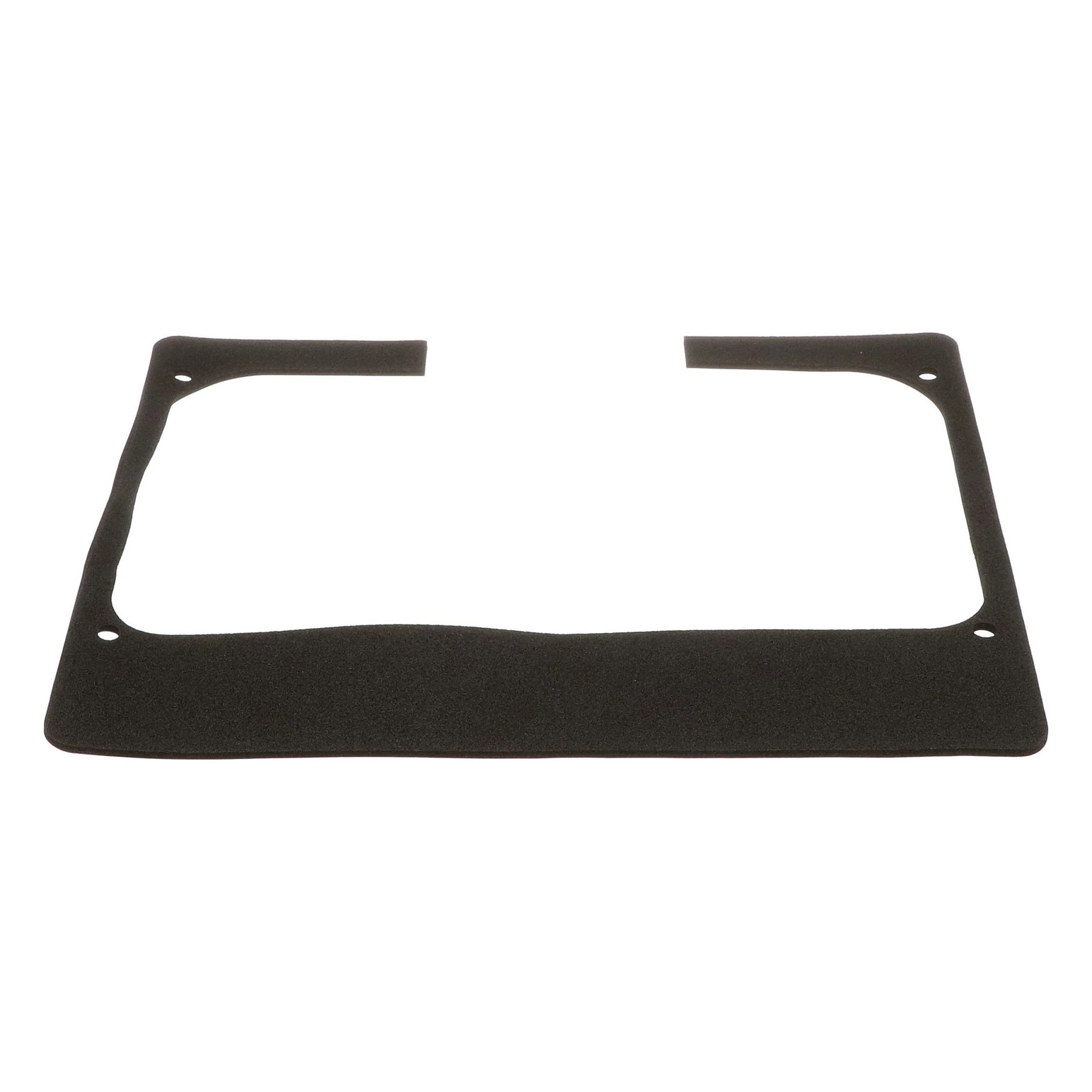 FOAM | CASECE | US | EN