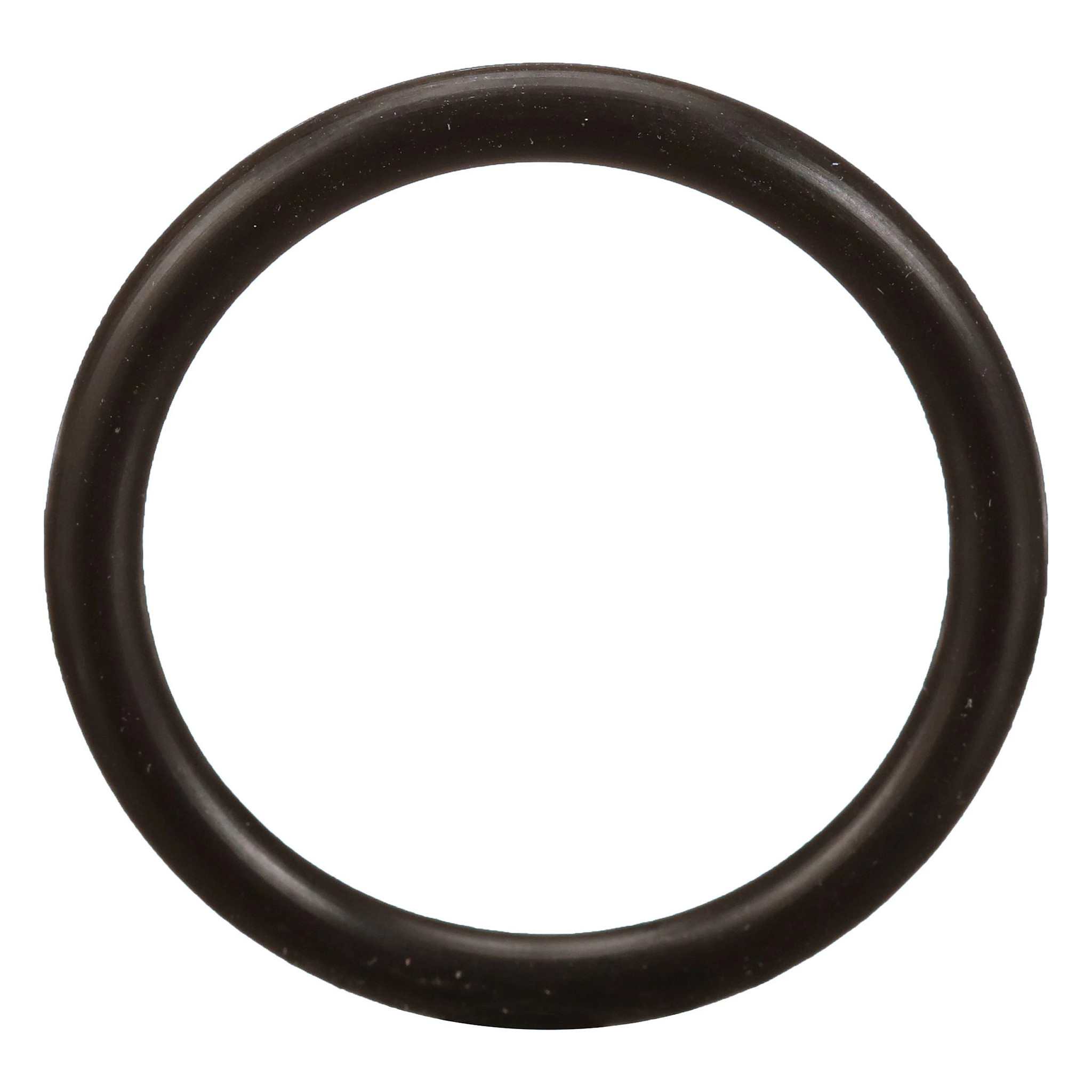 O-RING | CASECE | EU | EN