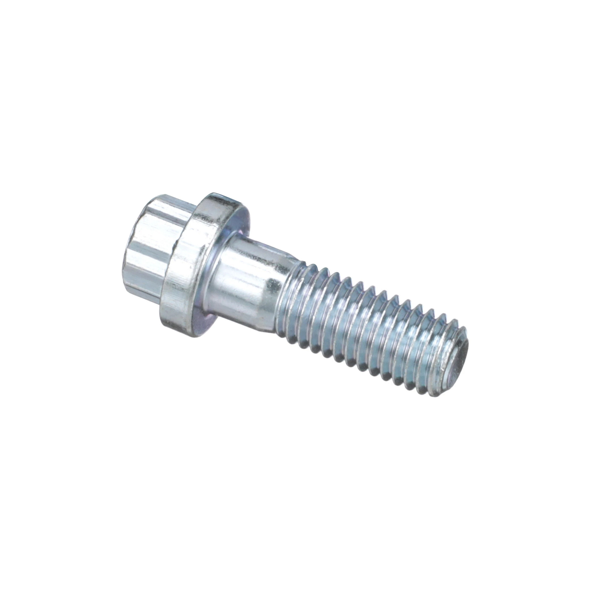 12 PT SCREW | CASECE | ANZ | EN