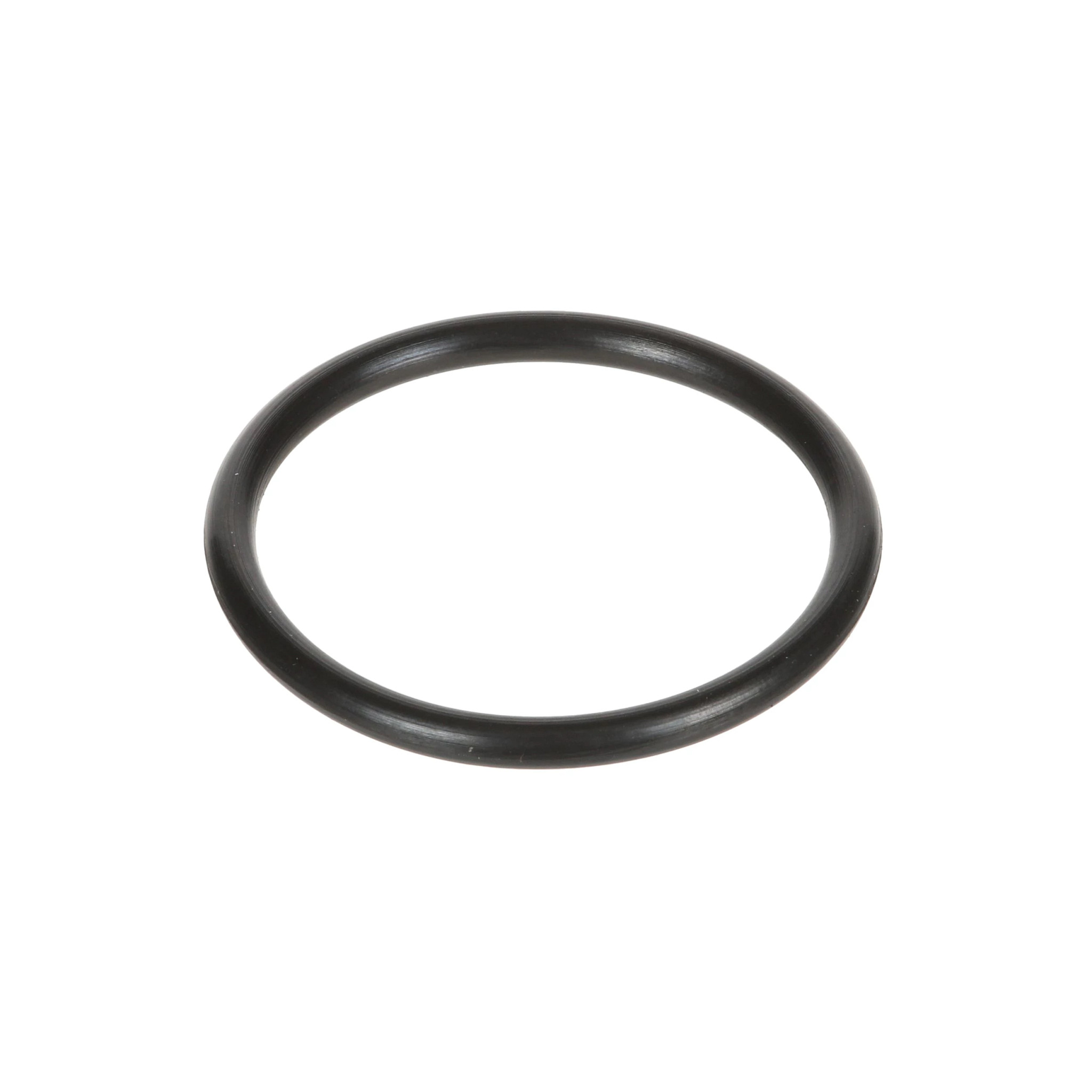 O-RING | CASECE | BR | PT