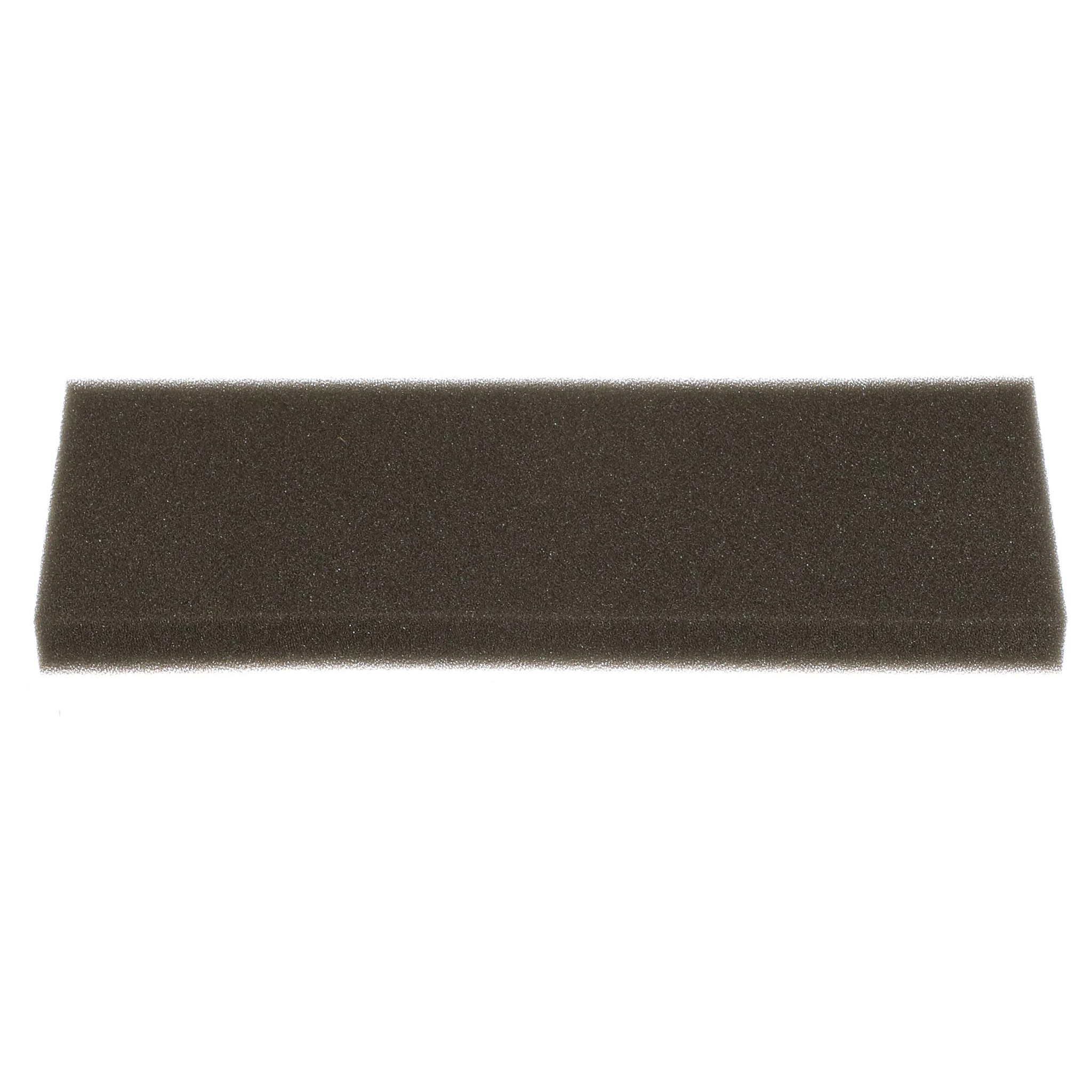 AIR FILTER | CASEIH | IE | EN