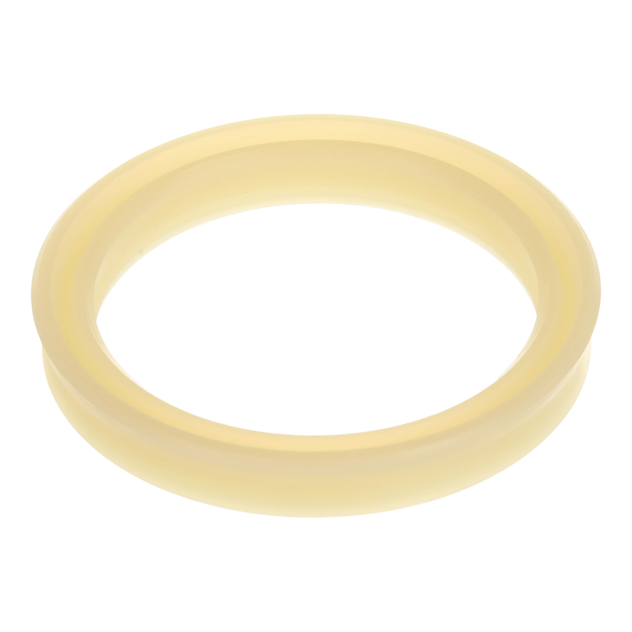 SEAL | CASEIH | US | EN