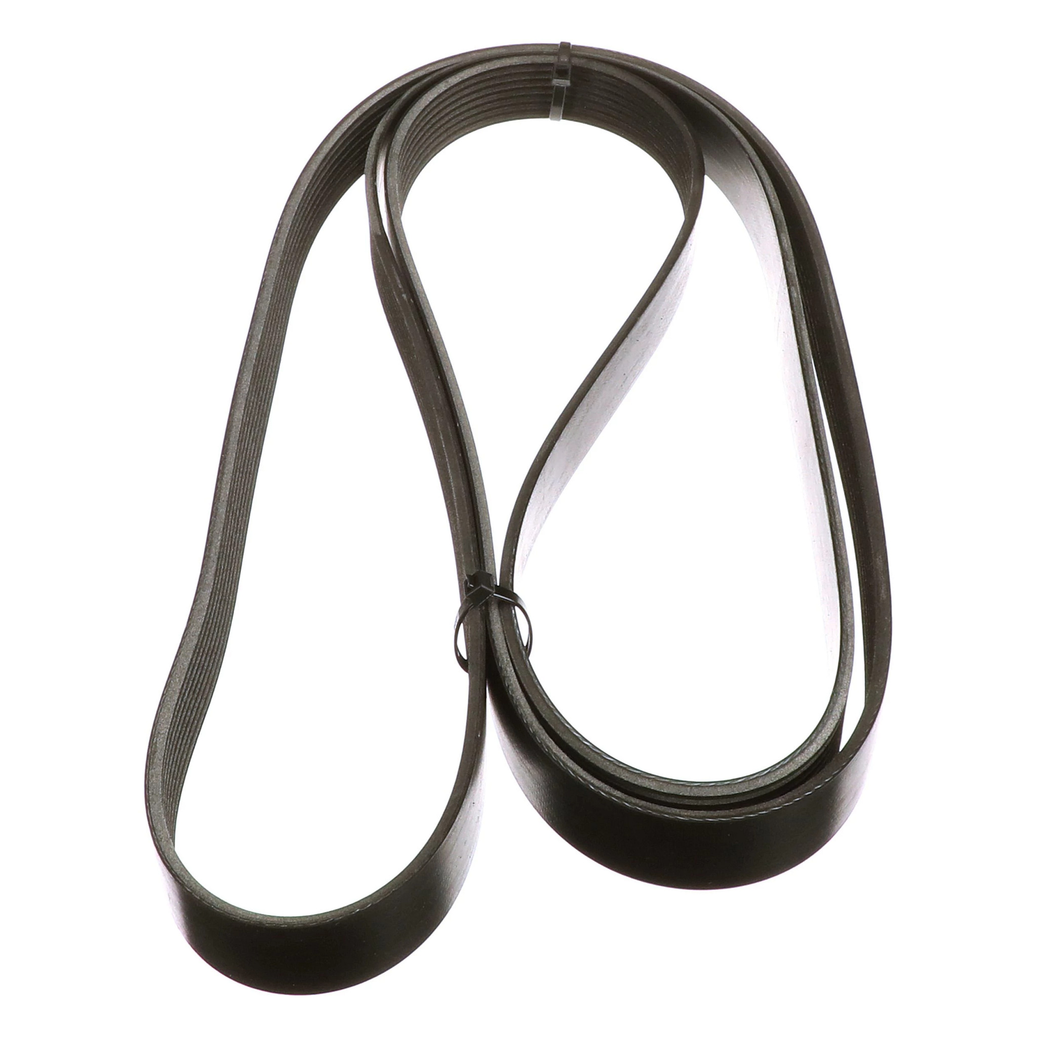 BELT | CASECE | US | EN