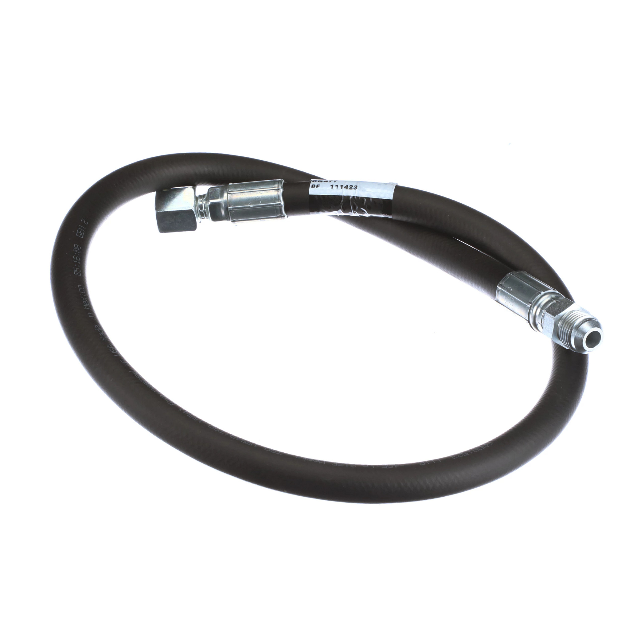 MANGUEIRA | CASECE | BR | PT