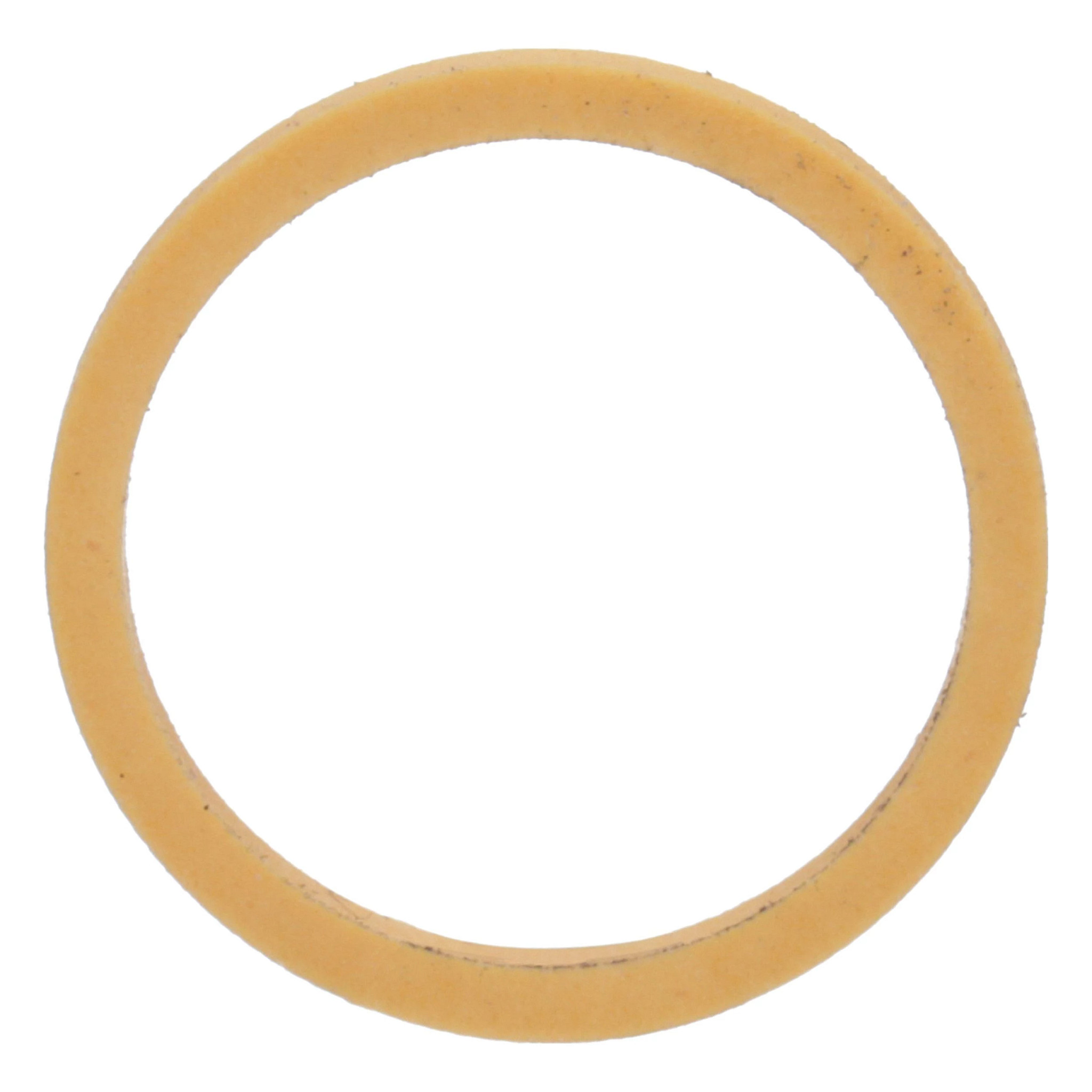 BACK-UP RING | NEWHOLLANDAG | AMEA | EN