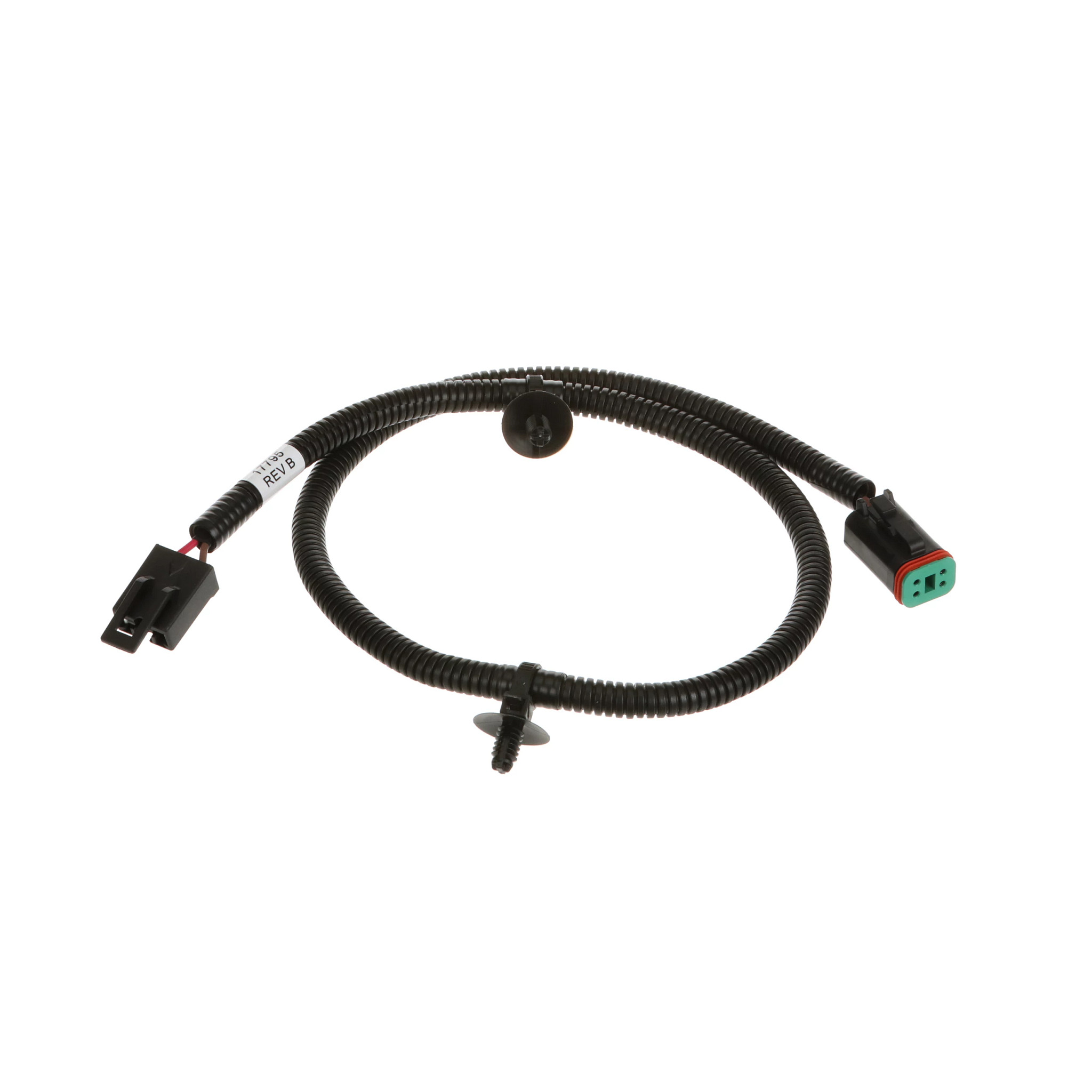 CHICOTE | CASECE | BR | PT