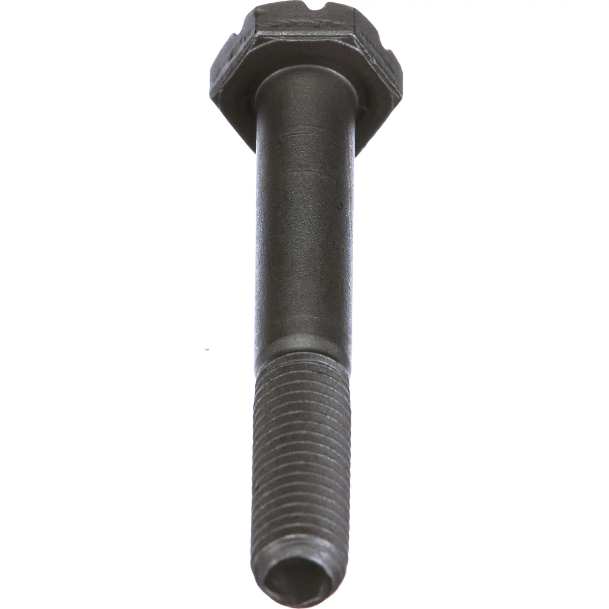 BOLT | MILLER | AMEA | EN