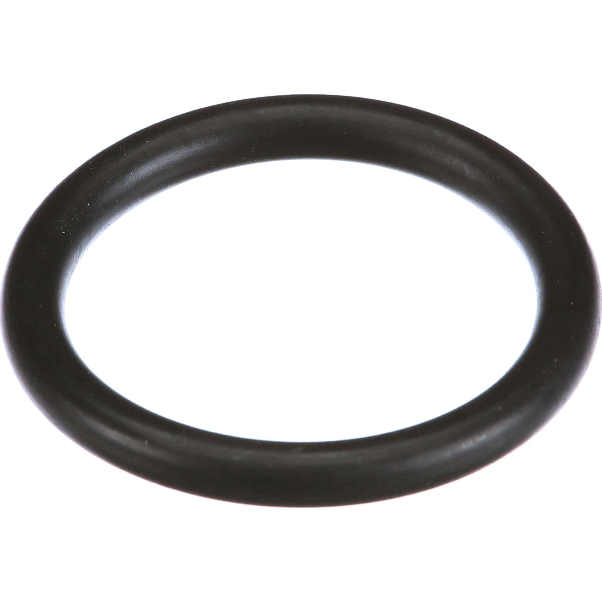 JUNTA TÓRICA | CASECE | EU | ES