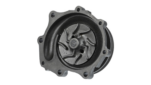 REMAN-WATER PUMP | STEYR | EU | EN