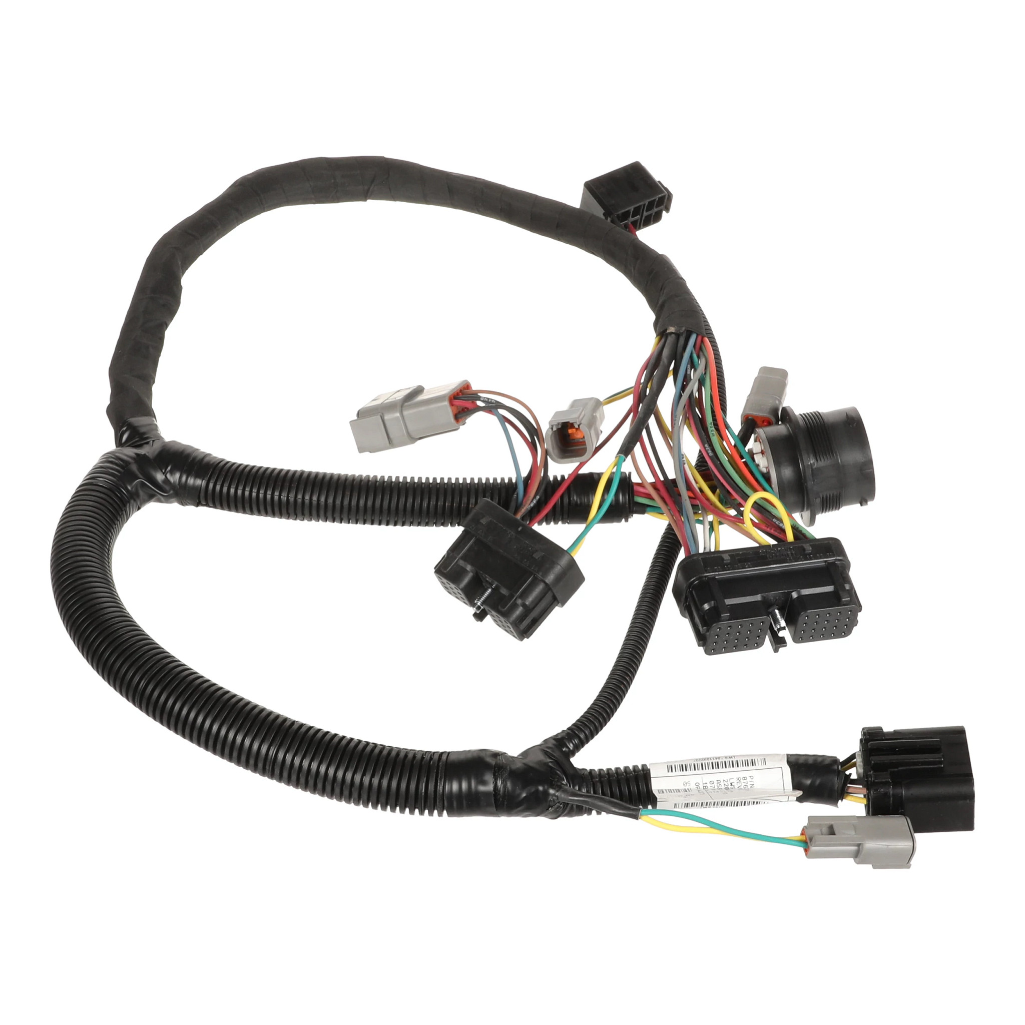 HARNESS | CASECE | CA | EN