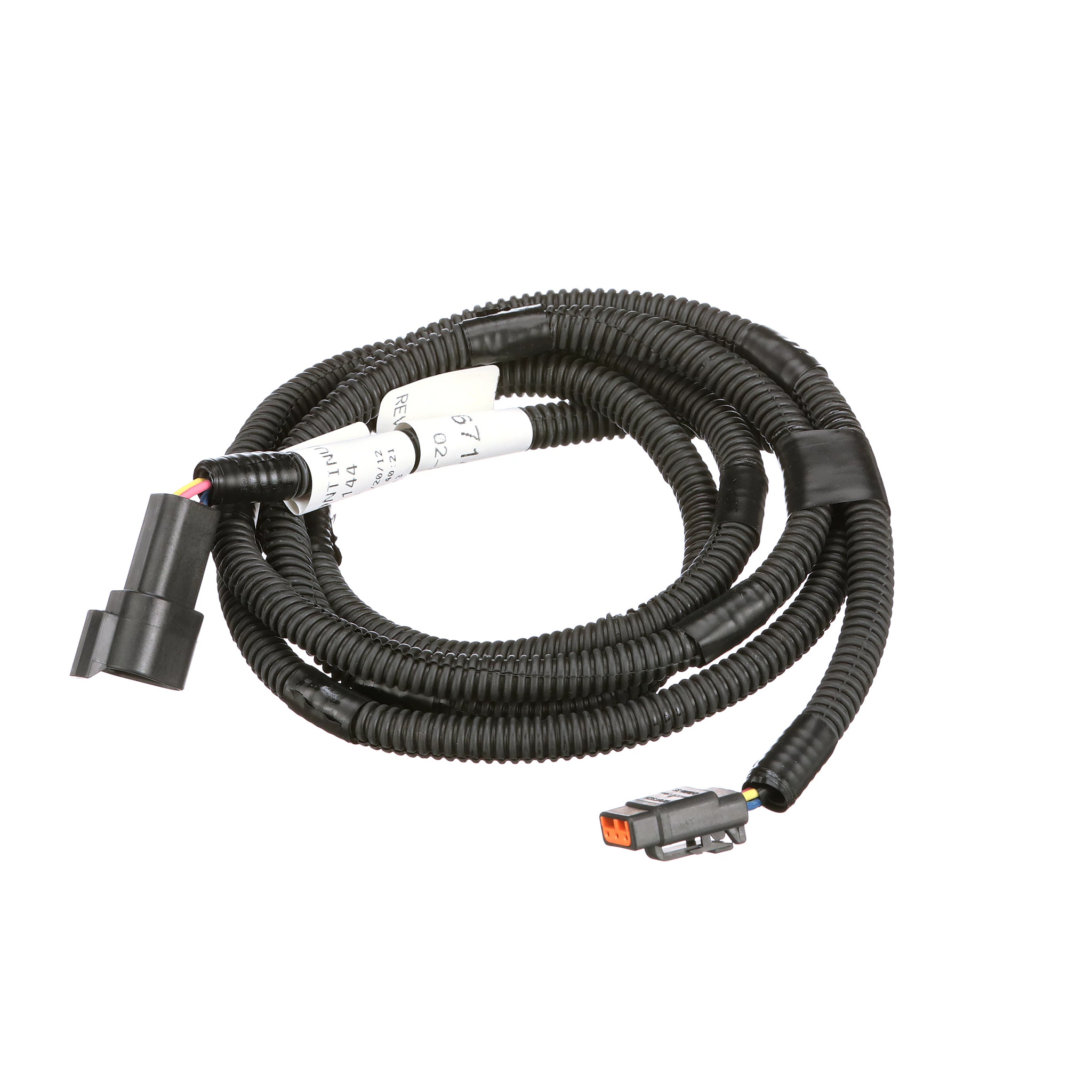 CHICOTE | CASECE | BR | PT