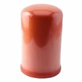 TRANSMISSION FILTER | CASEIH | GB | EN