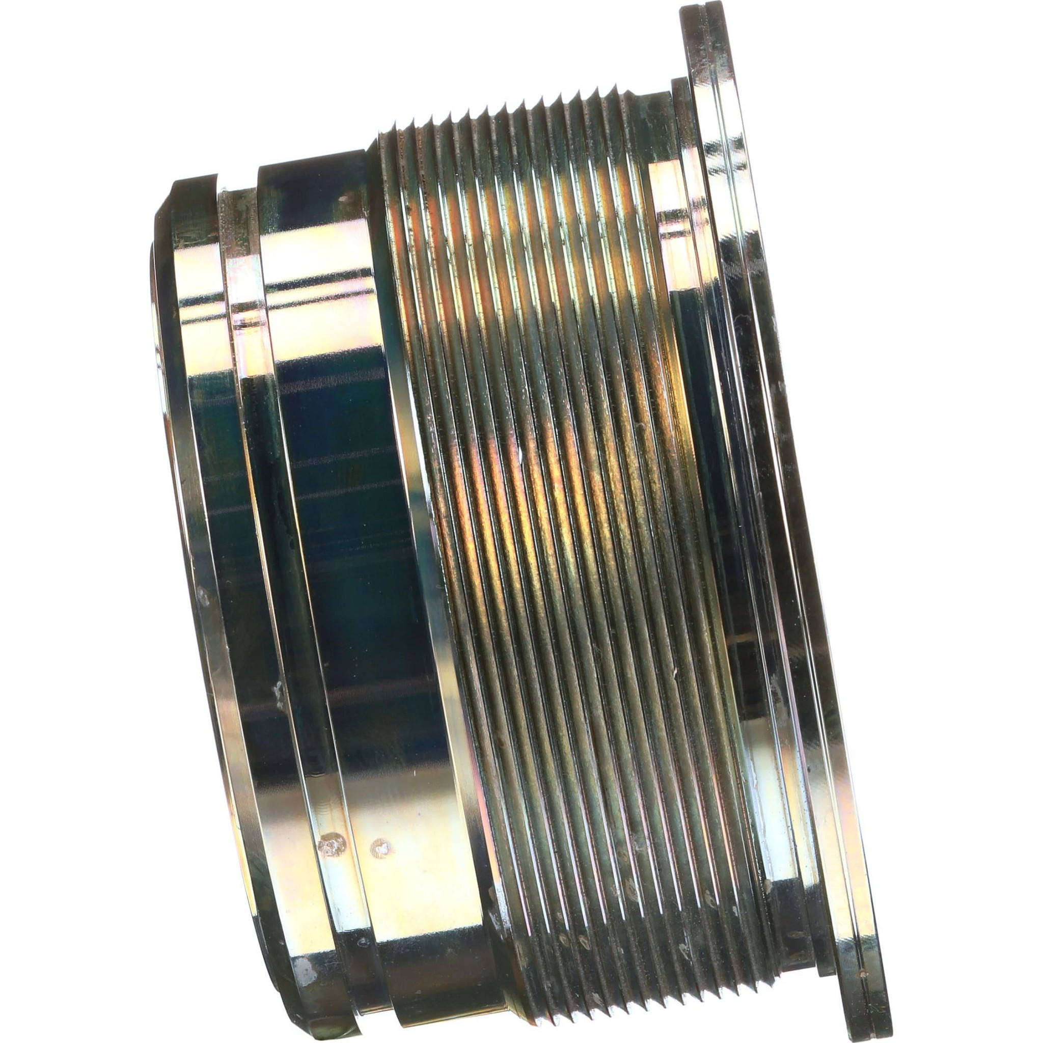 GLAND | CASECE | CA | EN