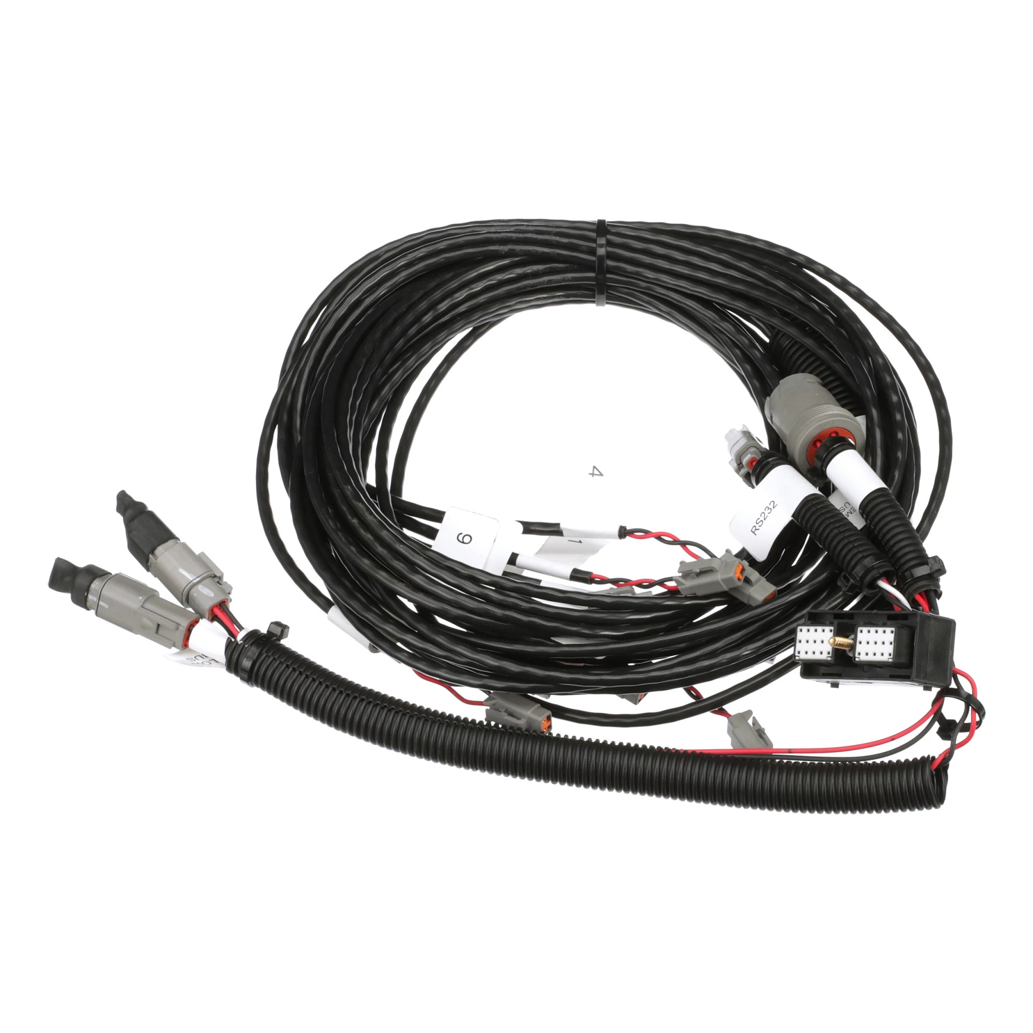 HARNESS | CASECE | EU | EN