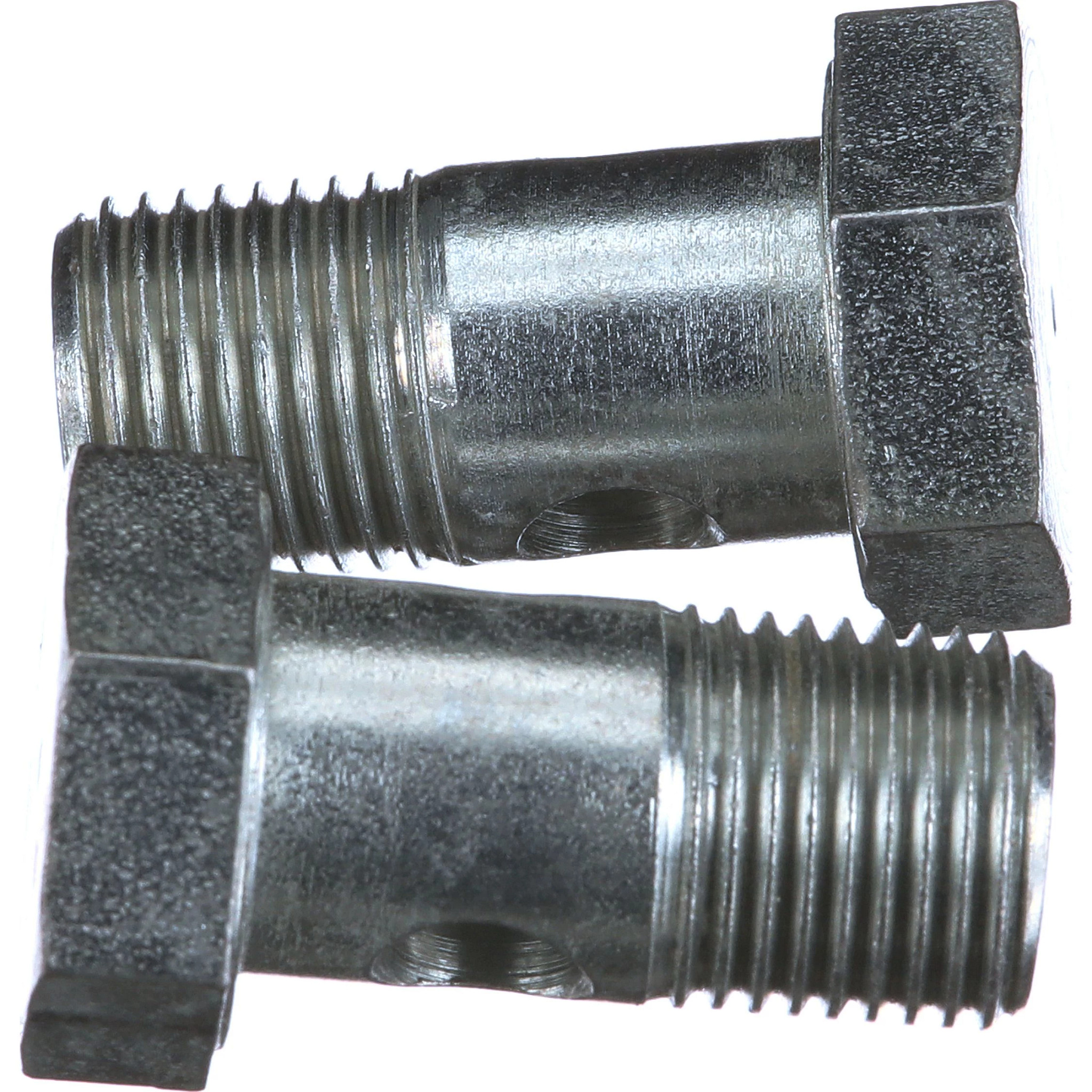 BULLONE MASCHIO | CASECE | EU | PT