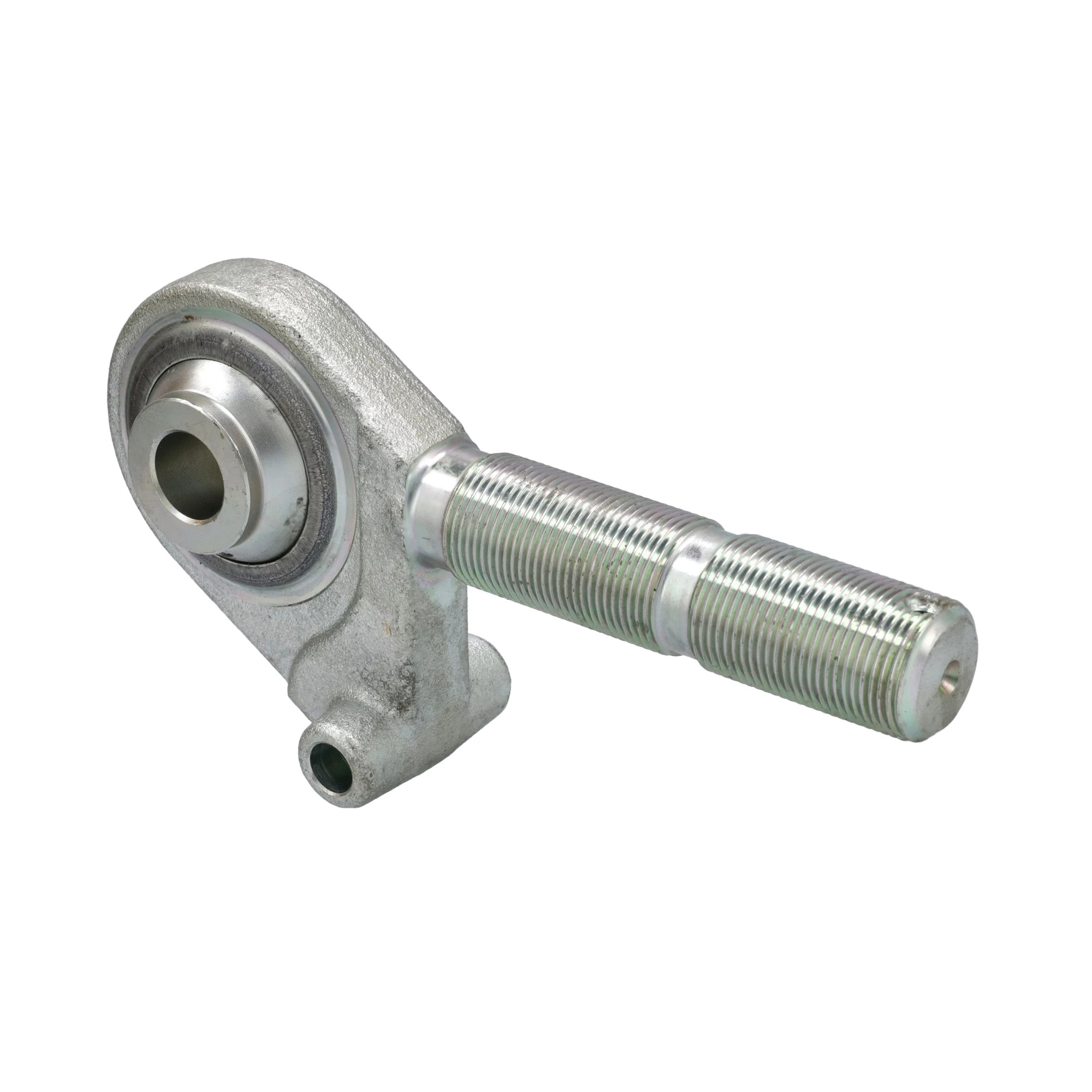 END | CASECE | ANZ | EN