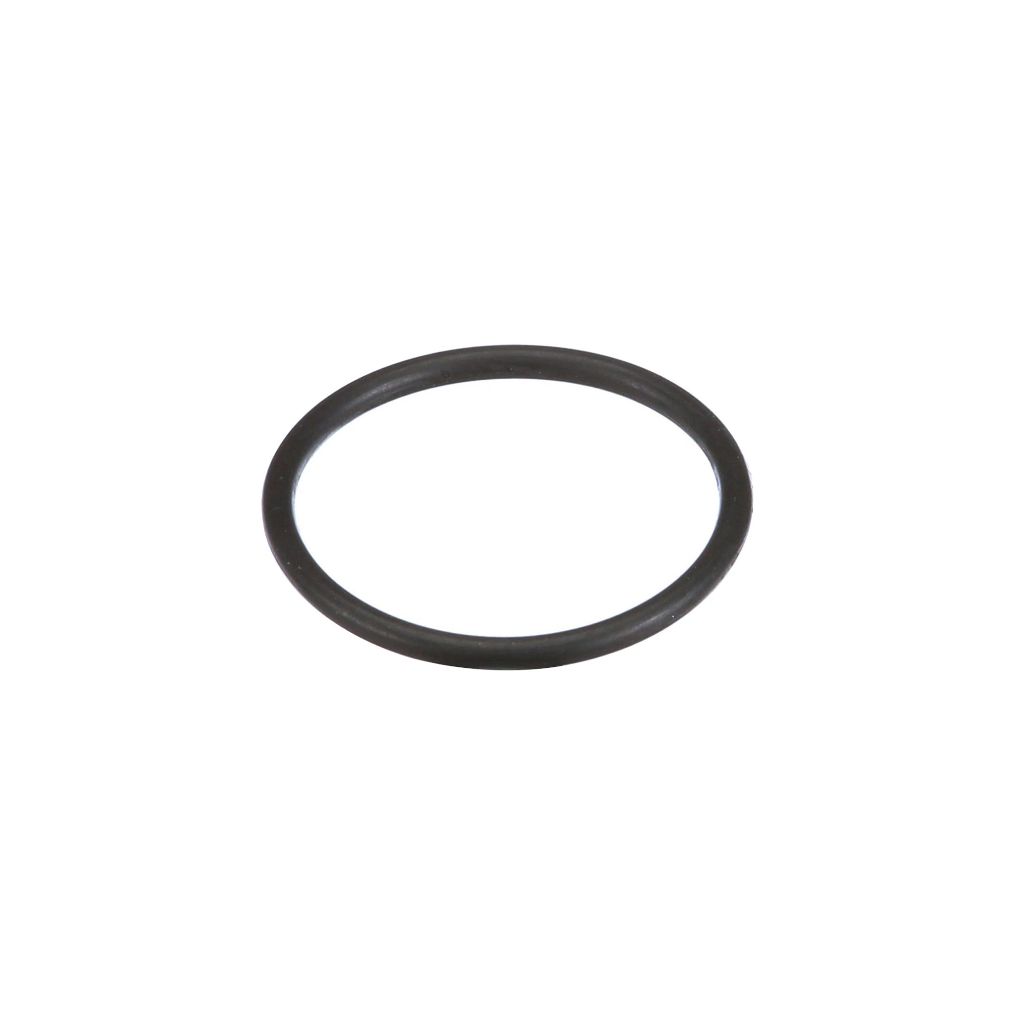 ANELLO TOROIDALE | CASEIH | IT | IT