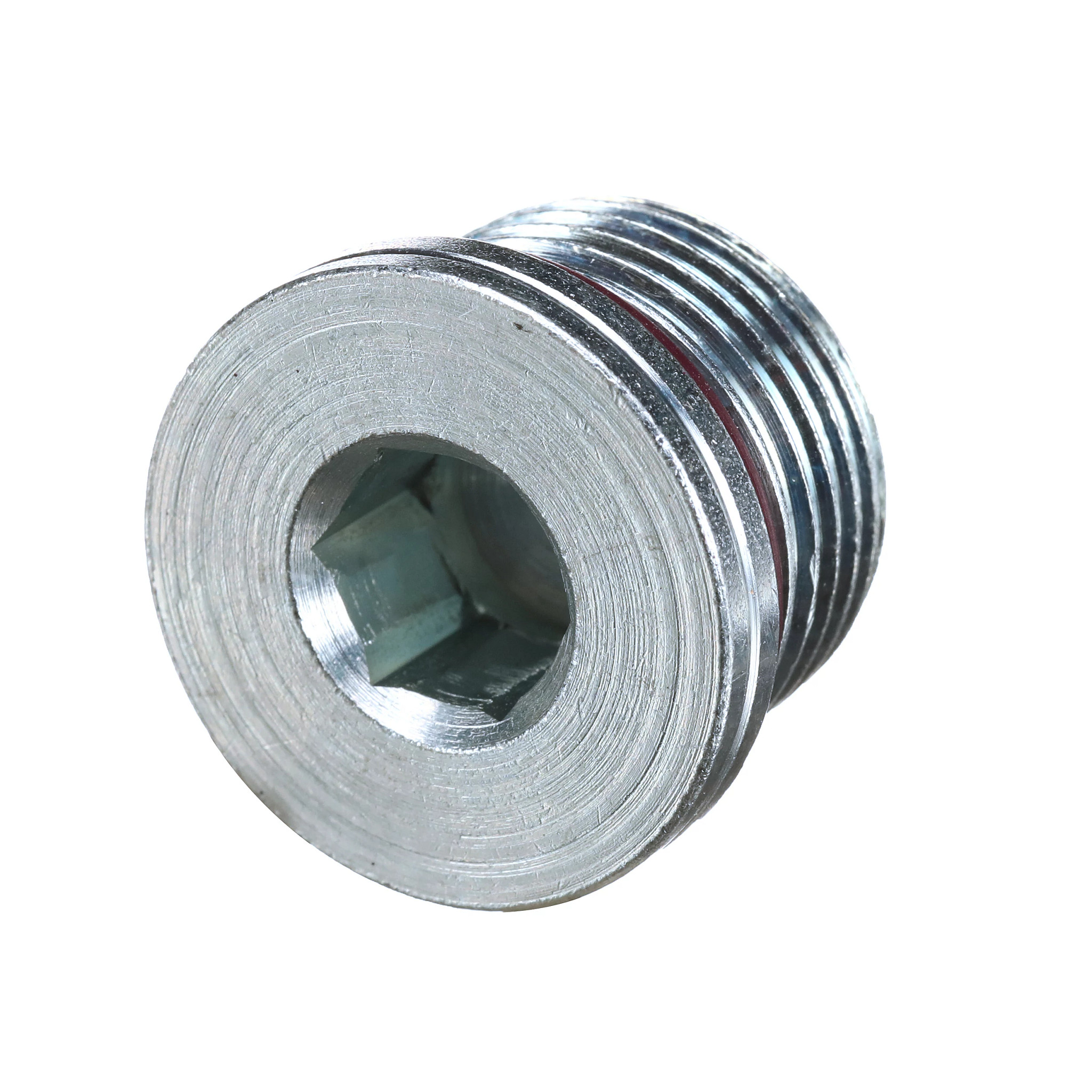 Plug Sextavado Interno | CASECE | BR | PT