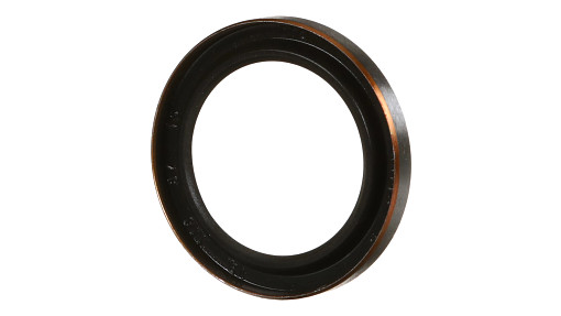 ANILLO DE CIERRE | CASEIH | SA | PT