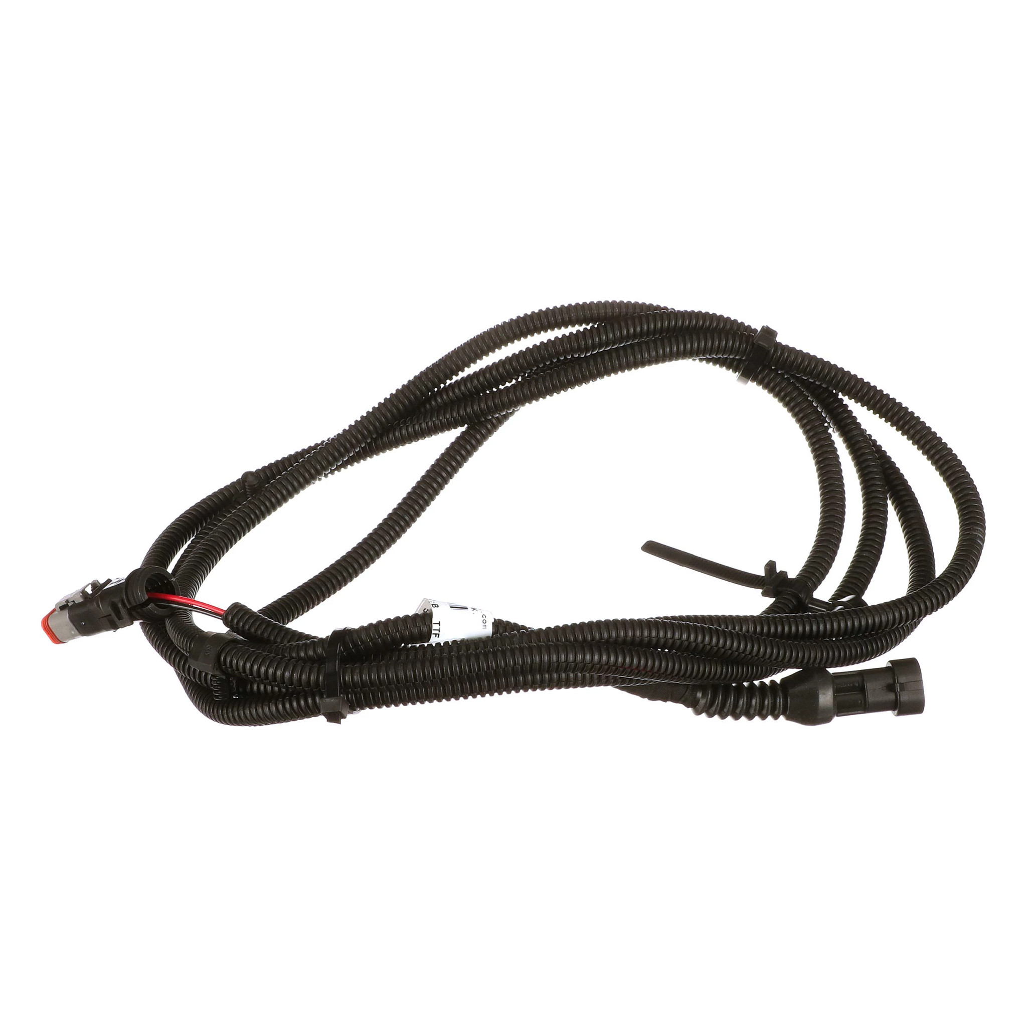 CHICOTE | CASECE | EU | PT