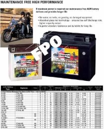 Exide® SuperCrank® Select AGM Battery - 12-Volt - PowerSport | NEWHOLLANDAG | US | EN