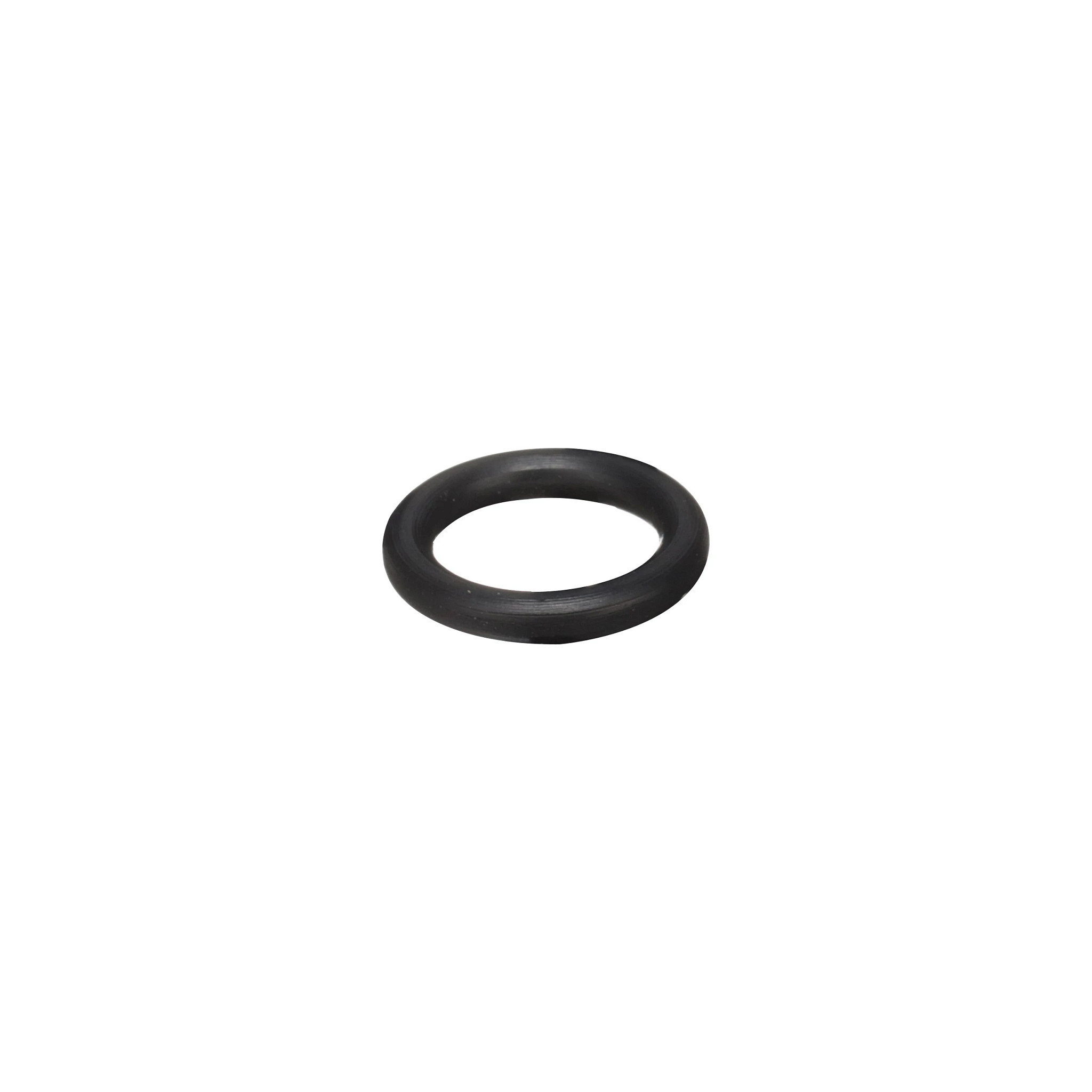O-RING | CASECE | ANZ | EN