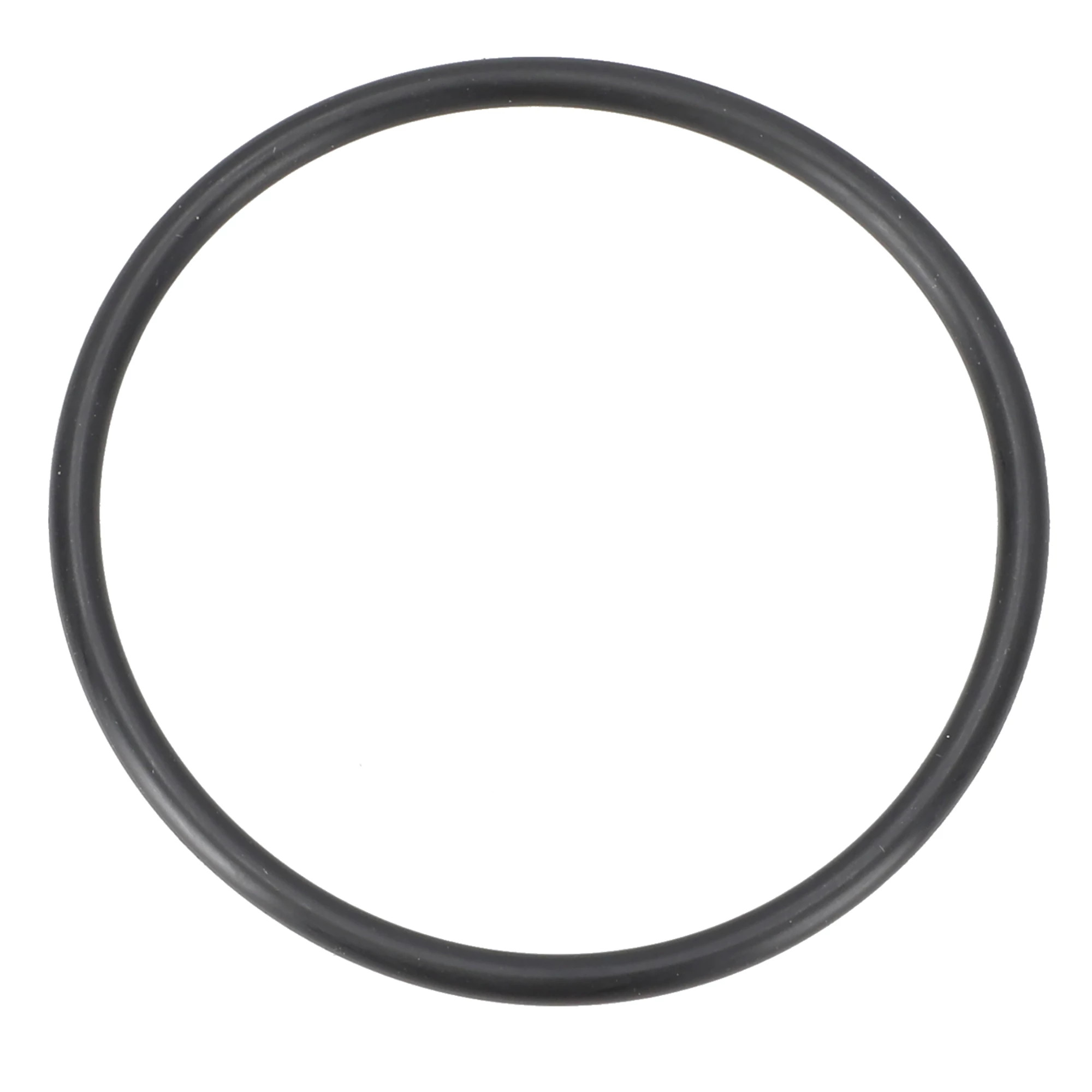 O-Ring - 173946FP